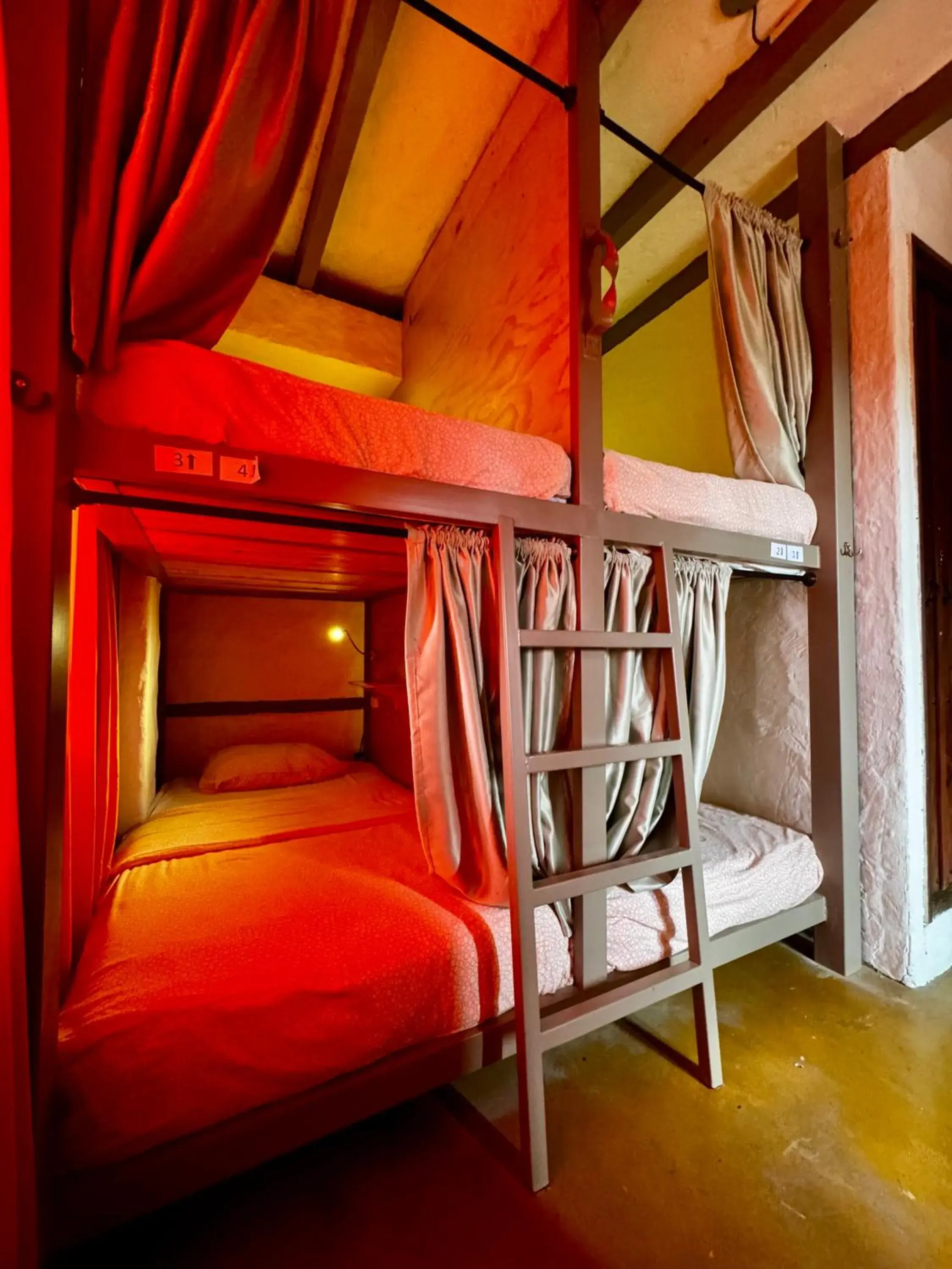 Bed in 4-Bed Mixed Dormitory Room in Coffee Tree Boutique Hostel Bed in 4-Bed Mixed Dormitory Room in Coffee Tree Boutique Hostel