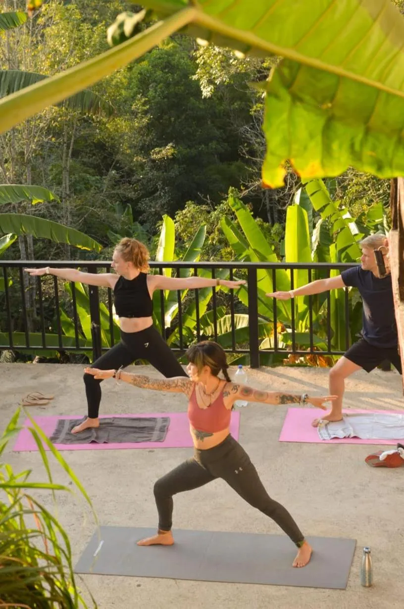 Natural landscape in Coffee Tree Boutique Hostel