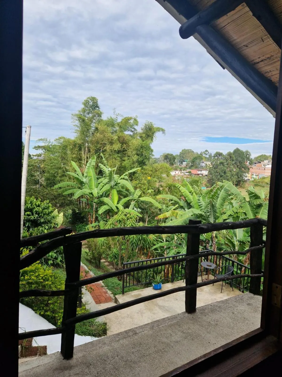 Natural landscape in Coffee Tree Boutique Hostel