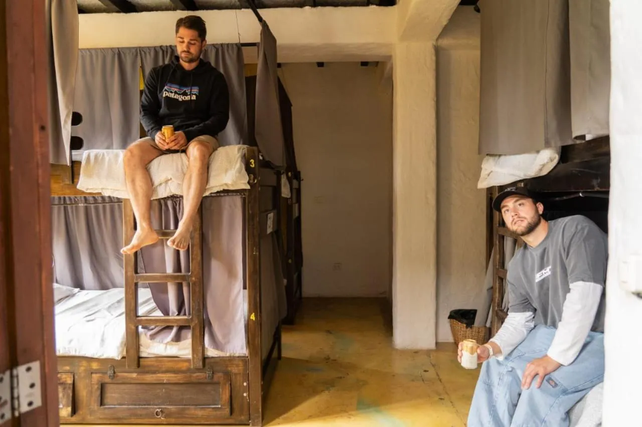 bunk bed in Coffee Tree Boutique Hostel