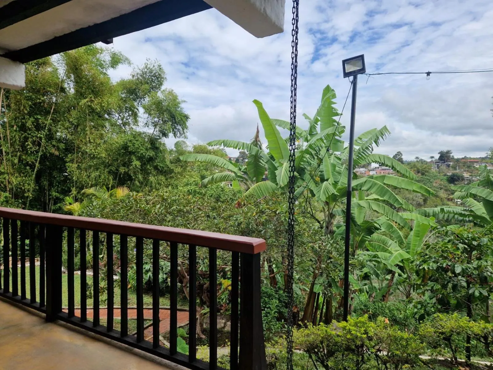Garden view in Coffee Tree Boutique Hostel