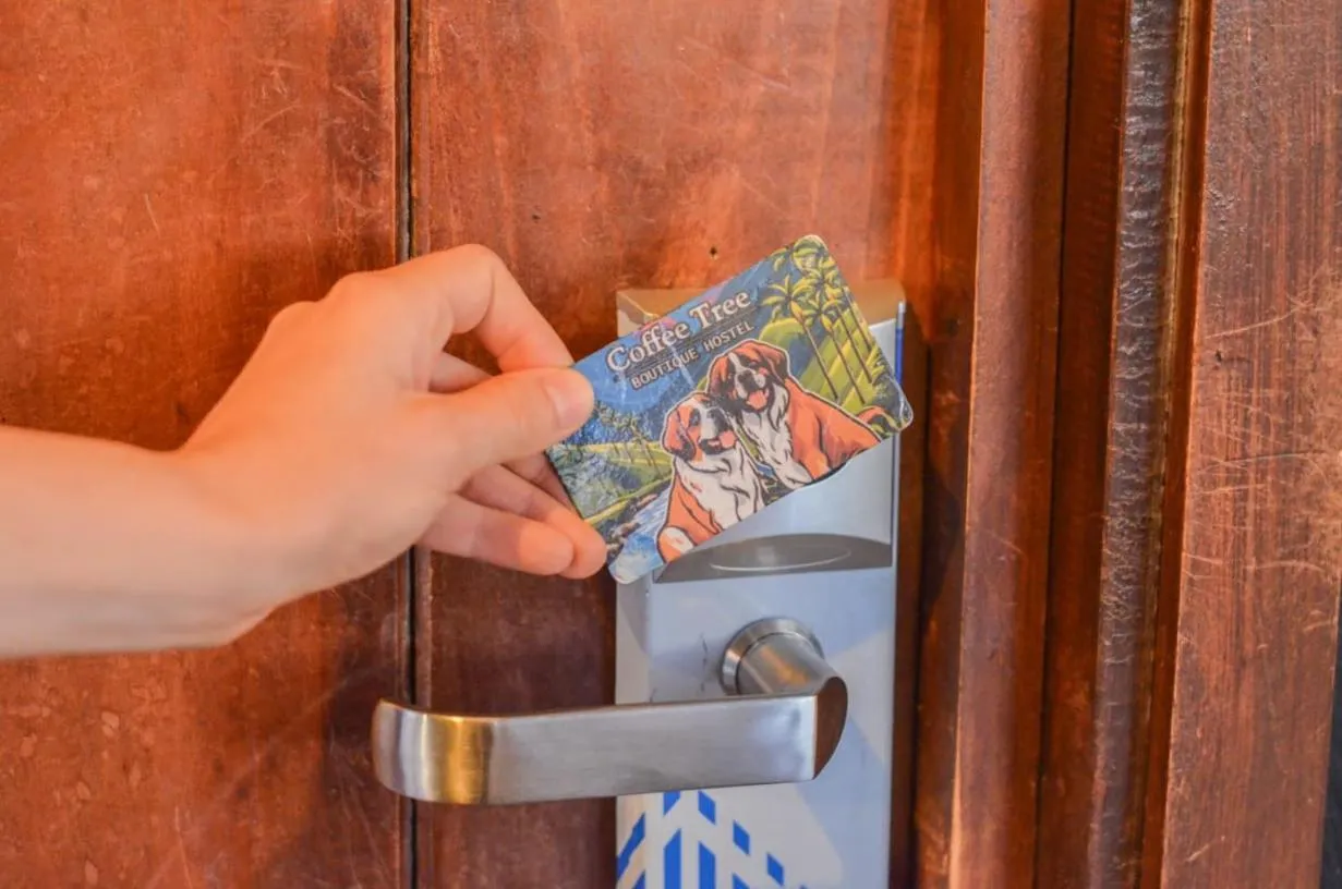 Bedroom in Coffee Tree Boutique Hostel
