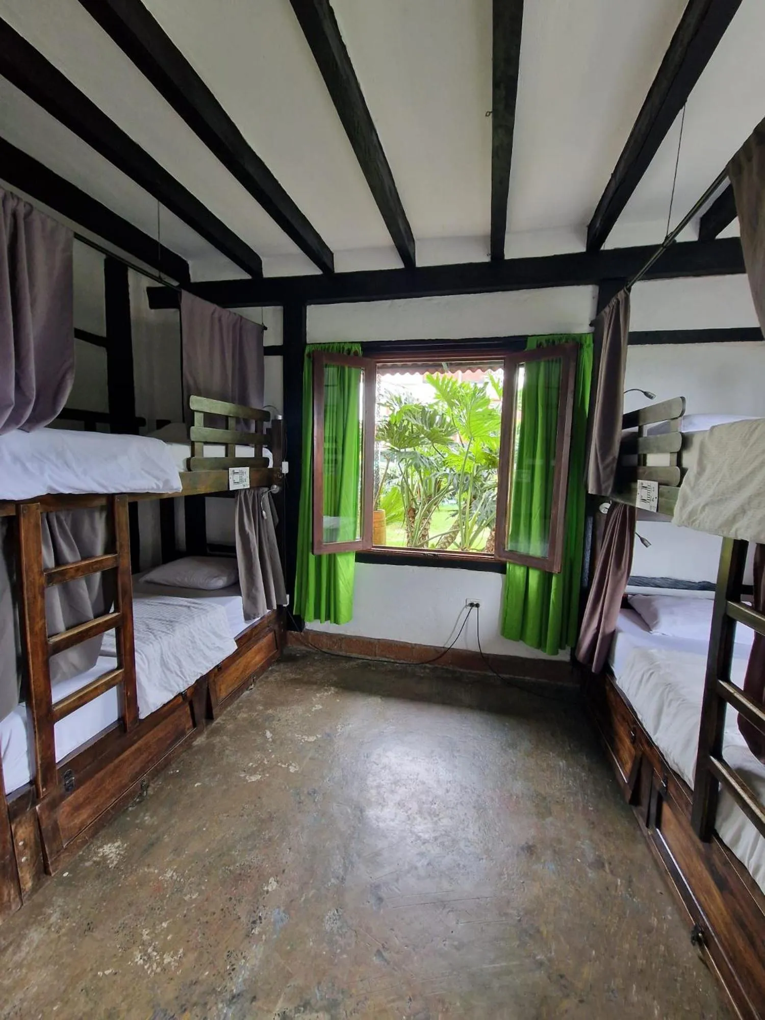 bunk bed, Bed in Coffee Tree Boutique Hostel