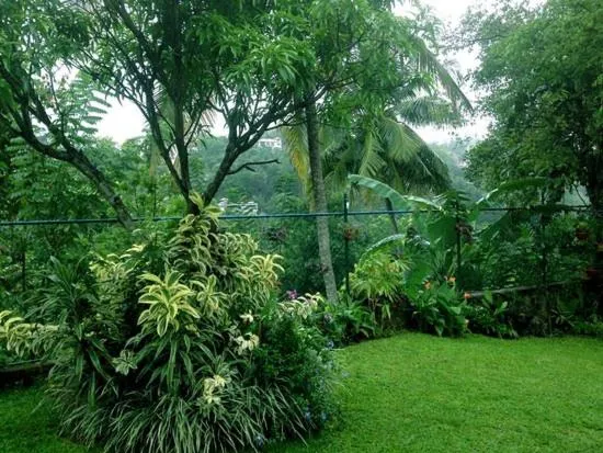Natural landscape in Kandy Moon Hills Hotel