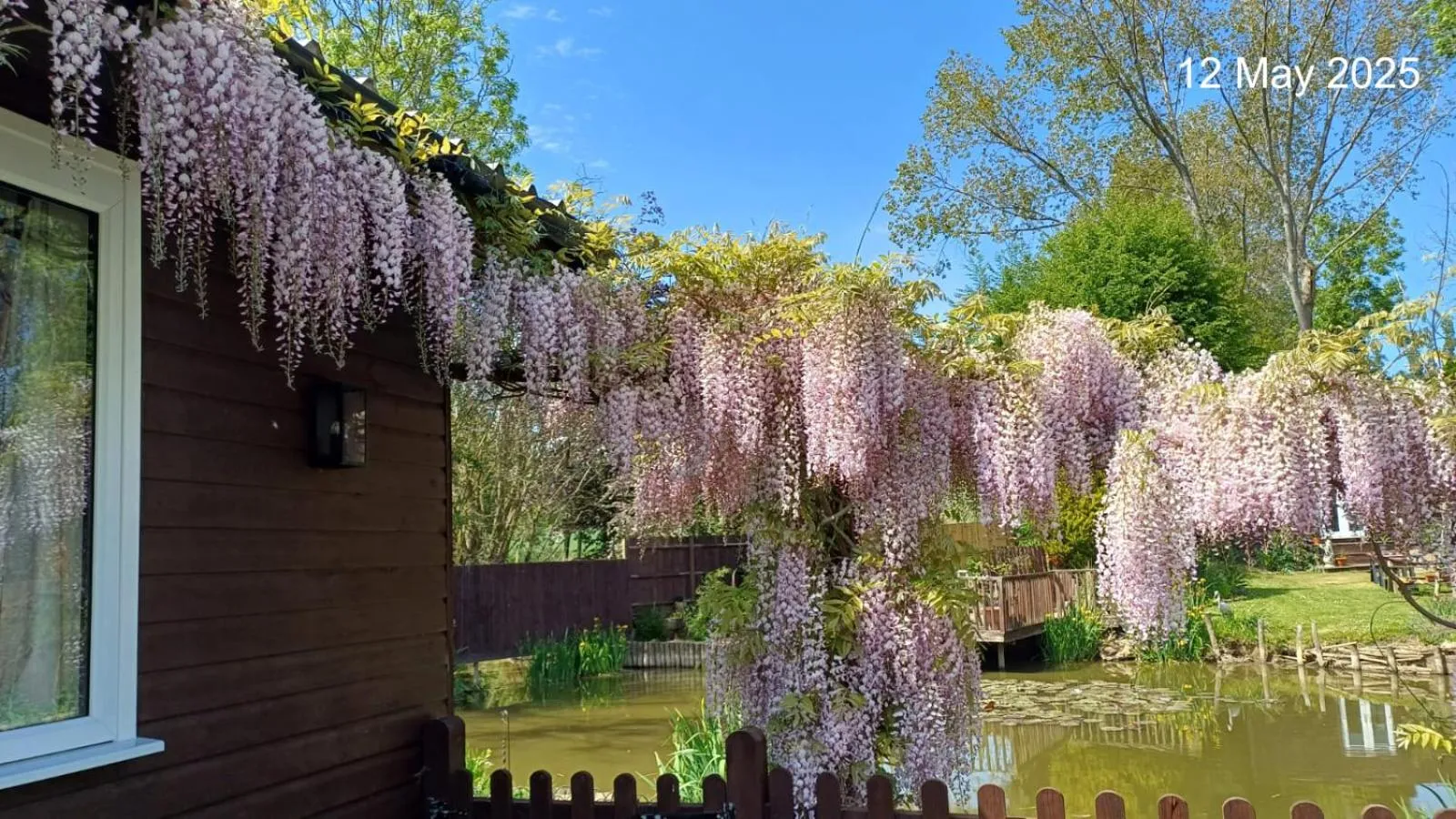 View (from property/room) in Woodies