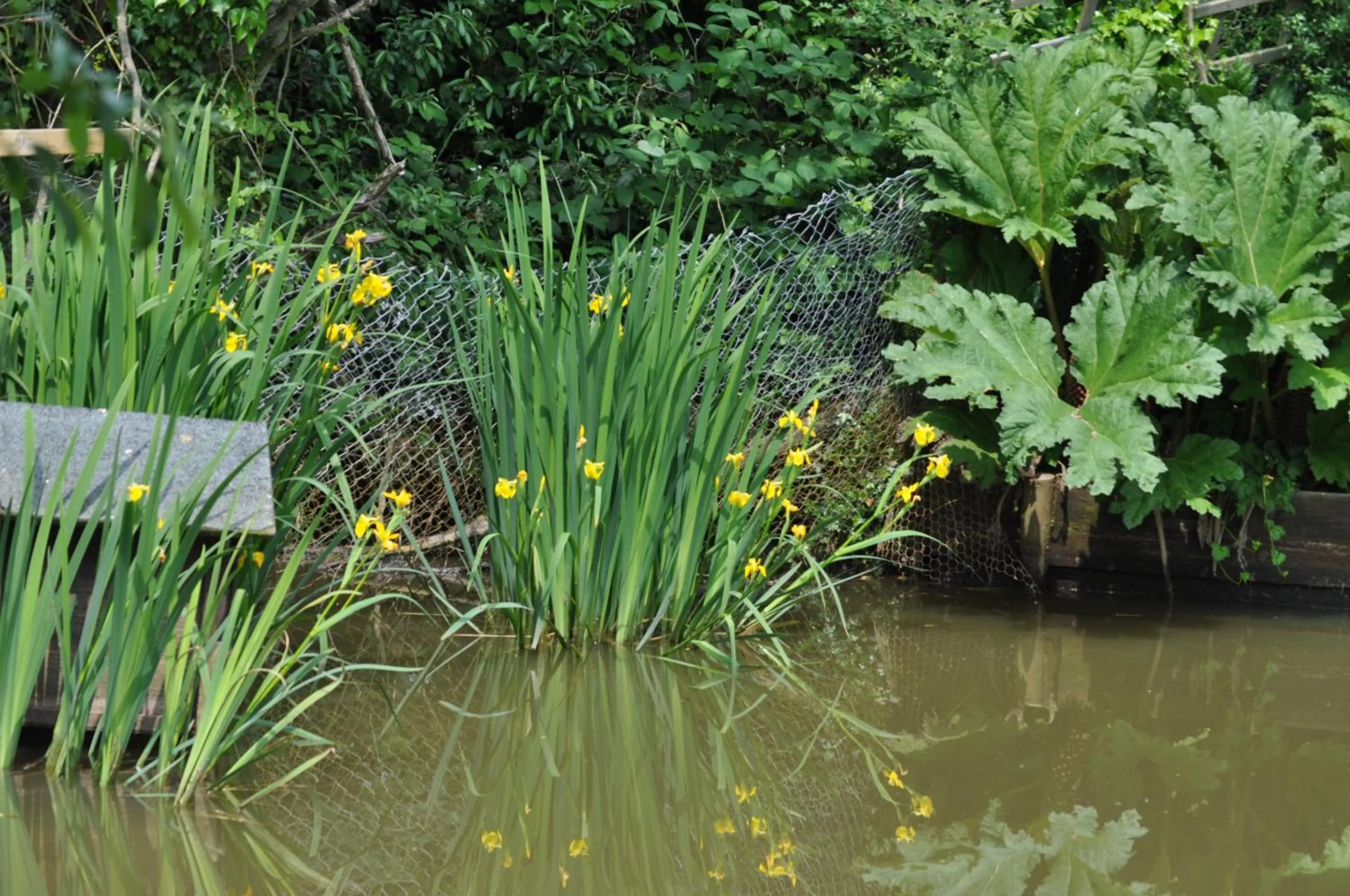 Natural landscape in Woodies