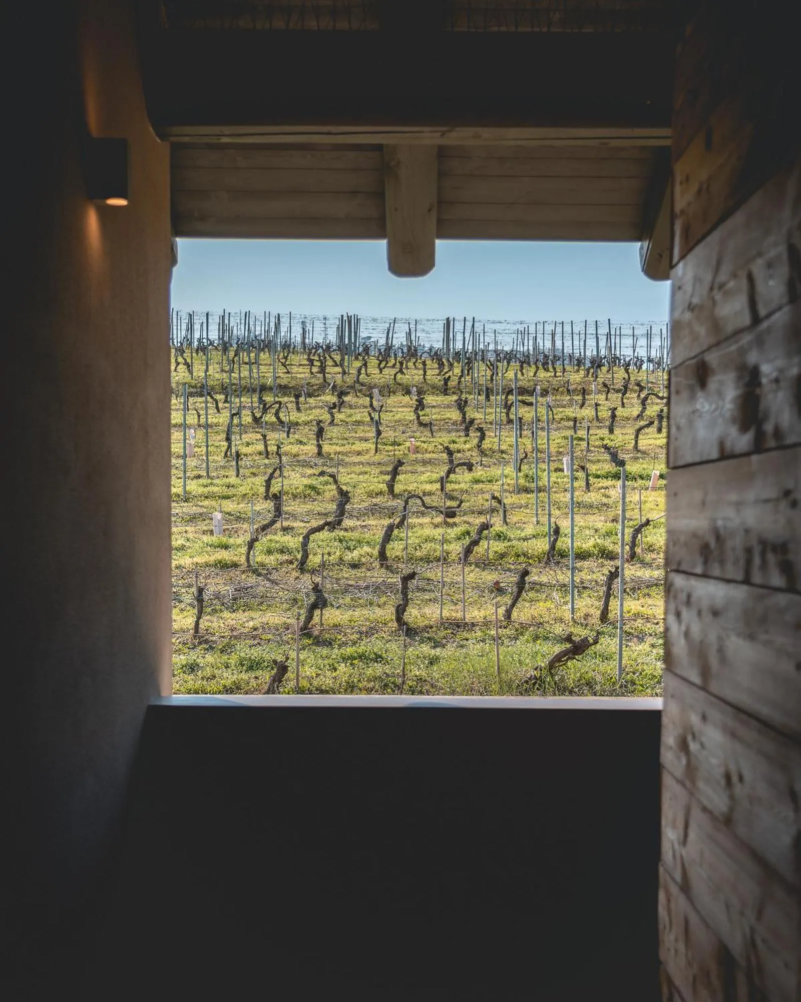 View (from property/room) in Arborina Relais