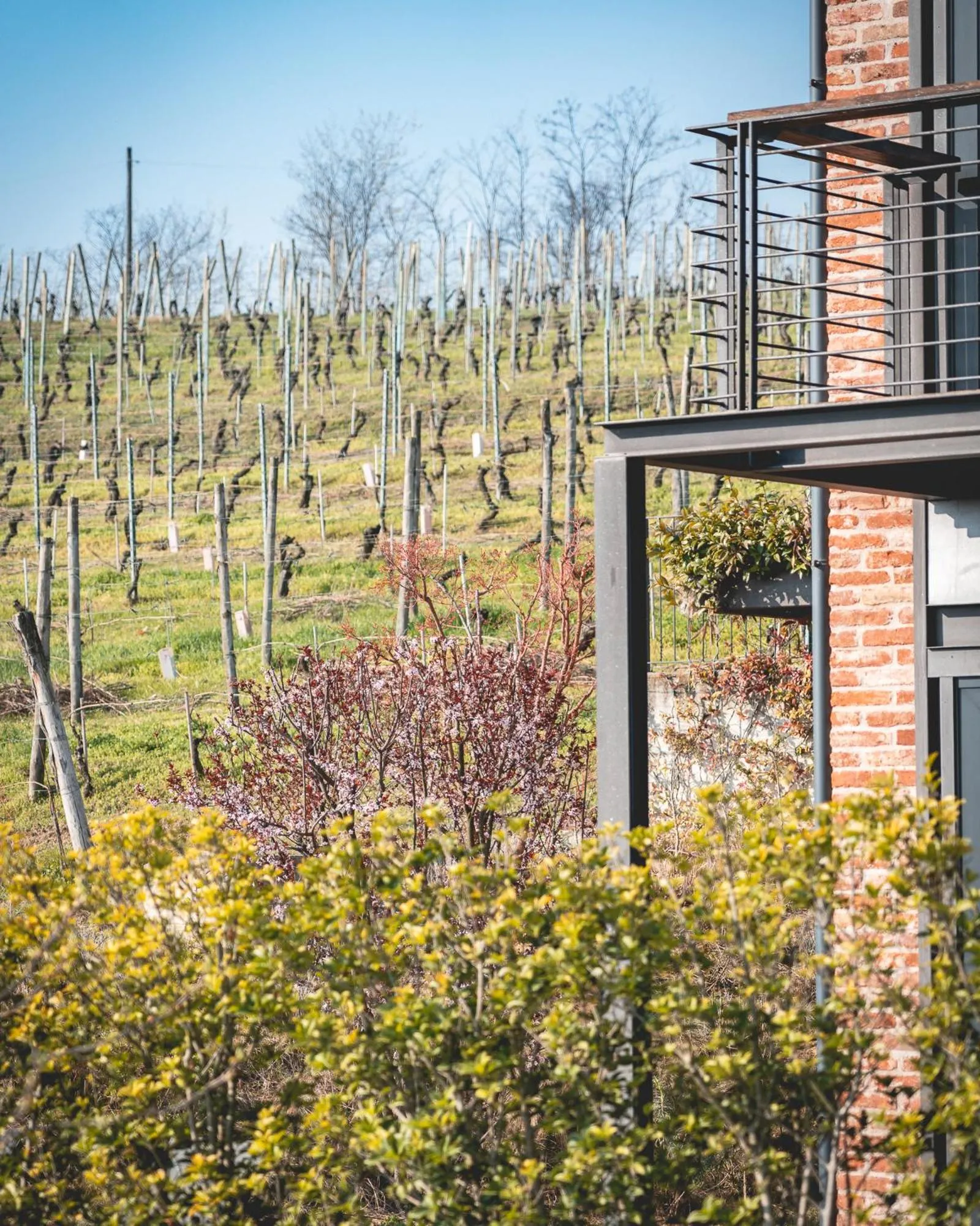 View (from property/room) in Arborina Relais