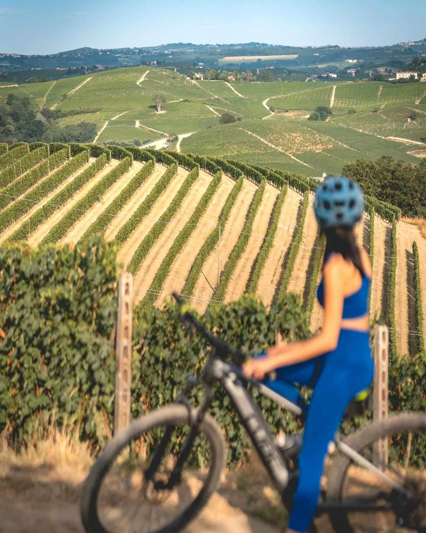 View (from property/room) in Arborina Relais