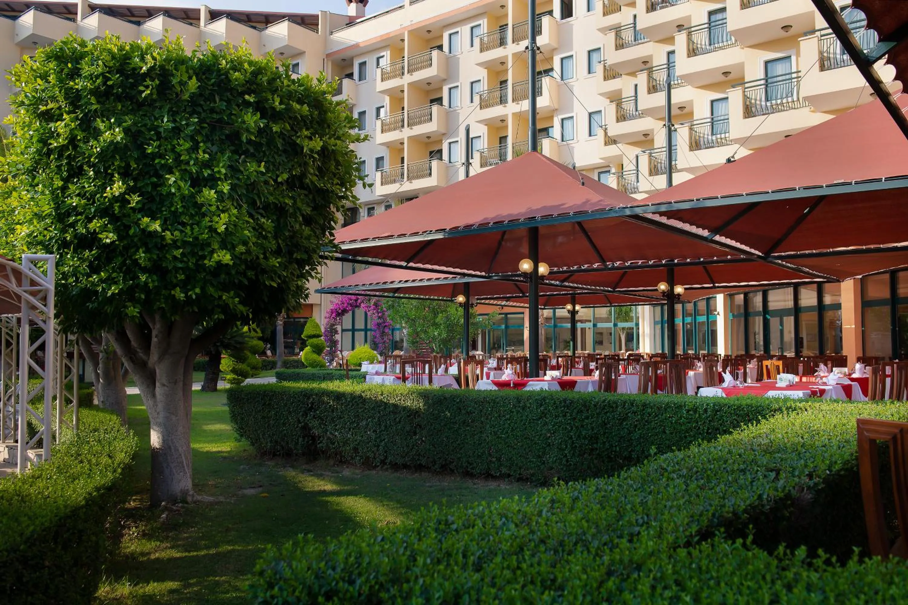 Restaurant/places to eat in Miramare Queen Hotel - Ultra All Inclusive