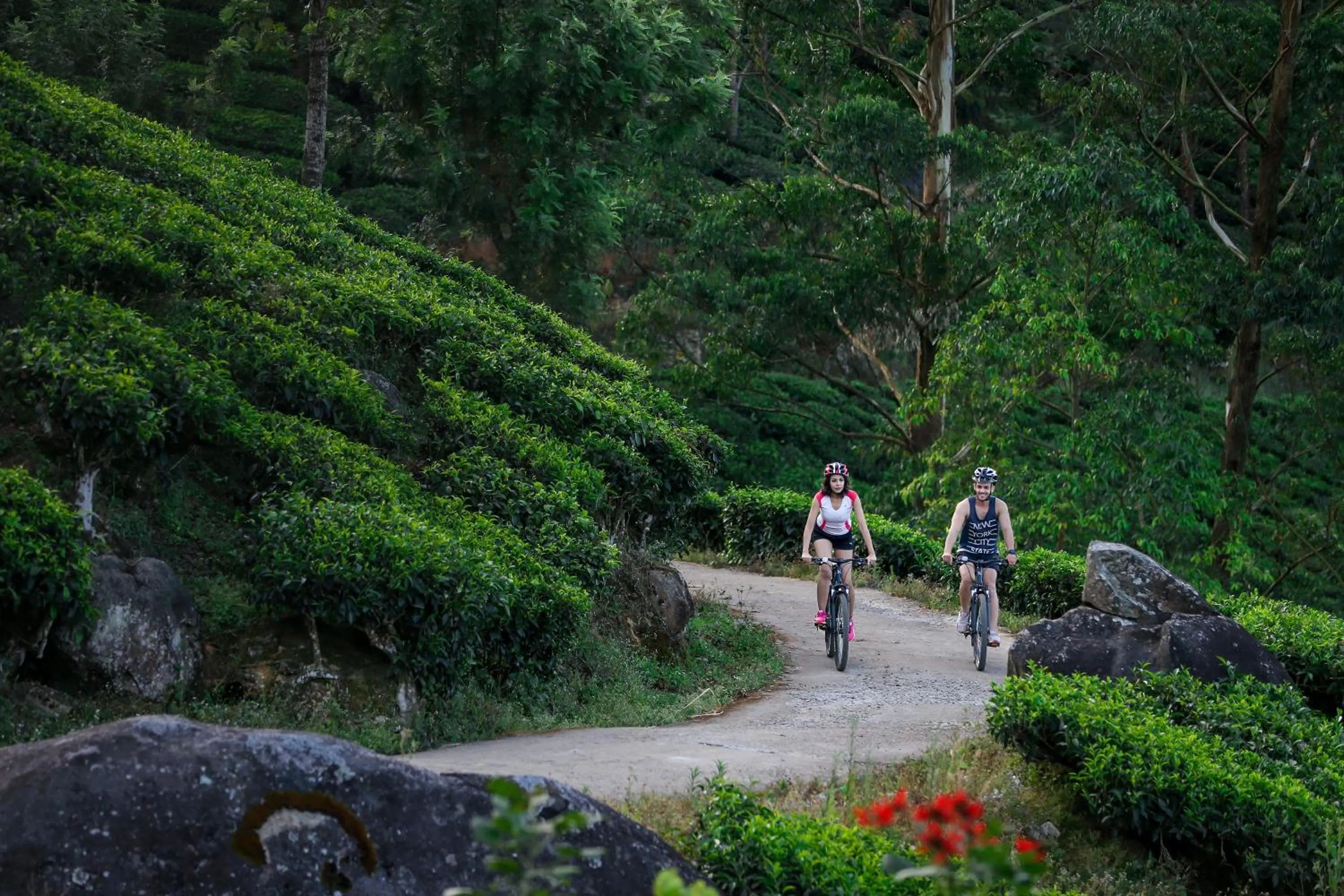 Activities in Fragrant Nature Munnar - A Five Star Classified Hotel