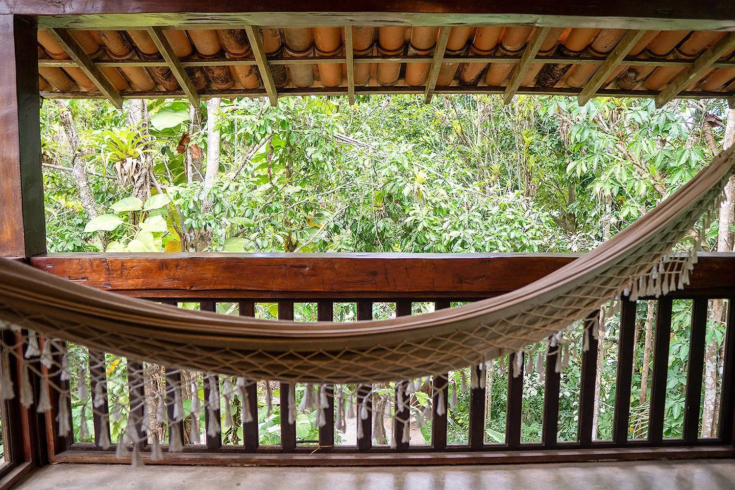 Balcony/Terrace in Calypso INN