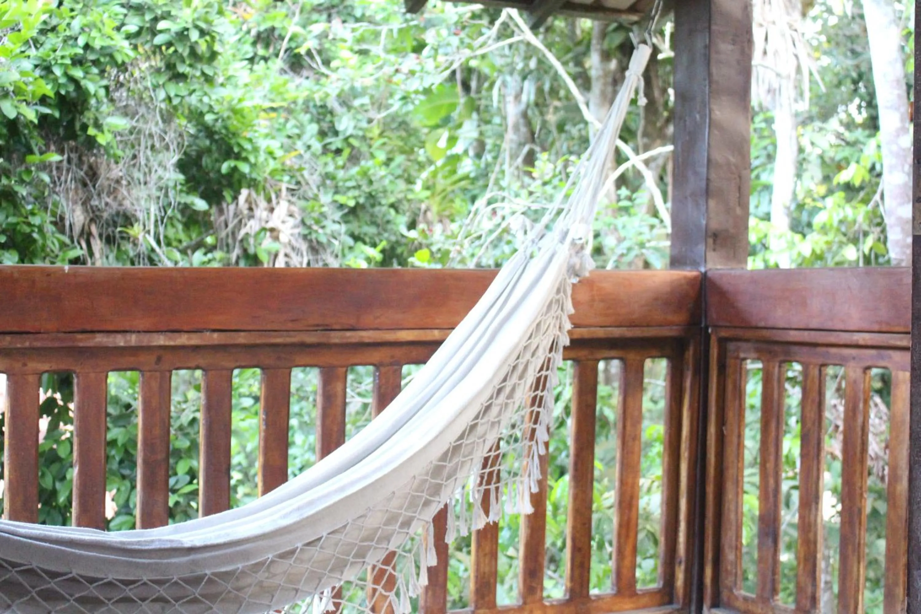 Balcony/Terrace in Calypso INN