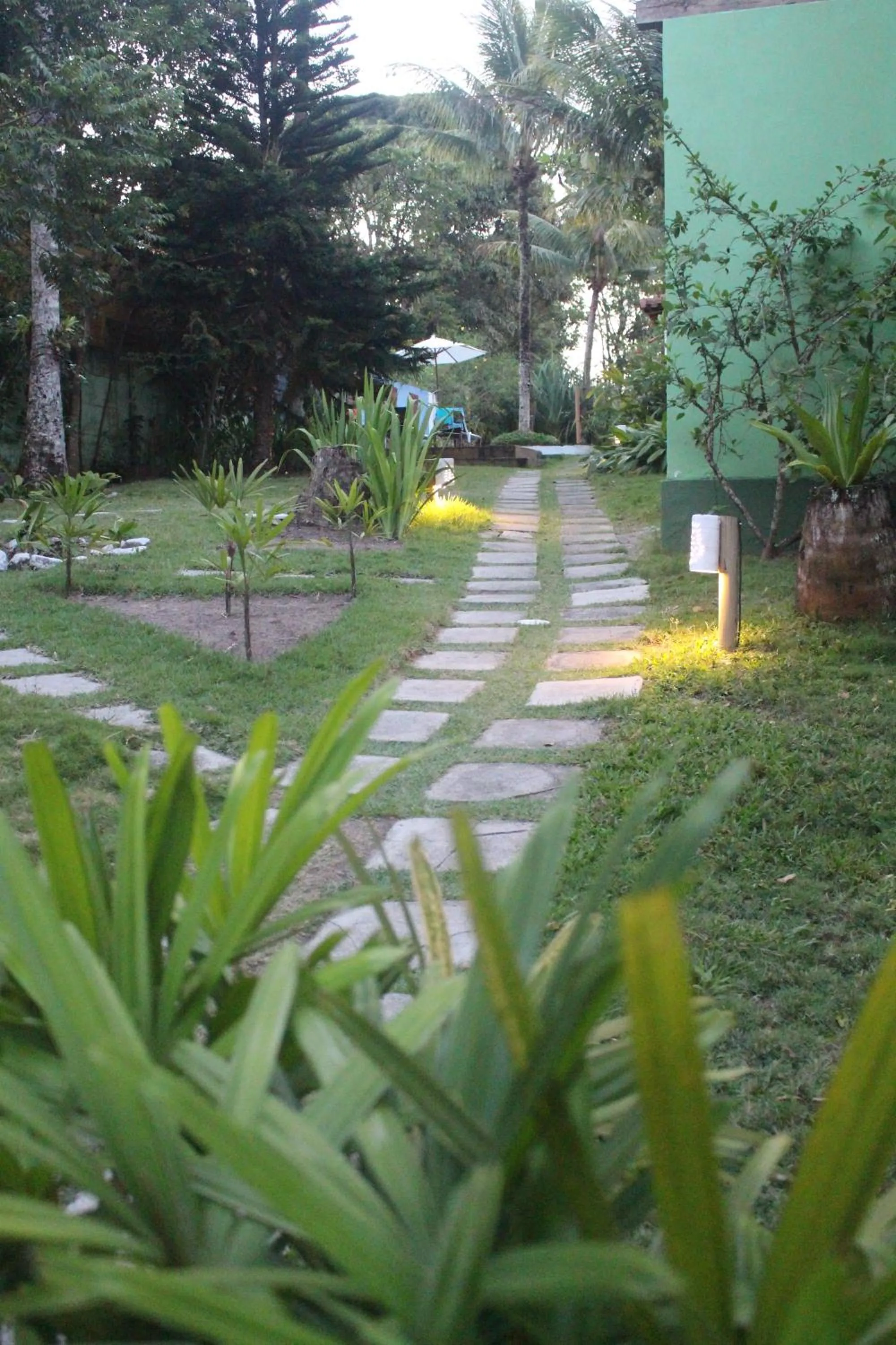 Garden in Calypso INN