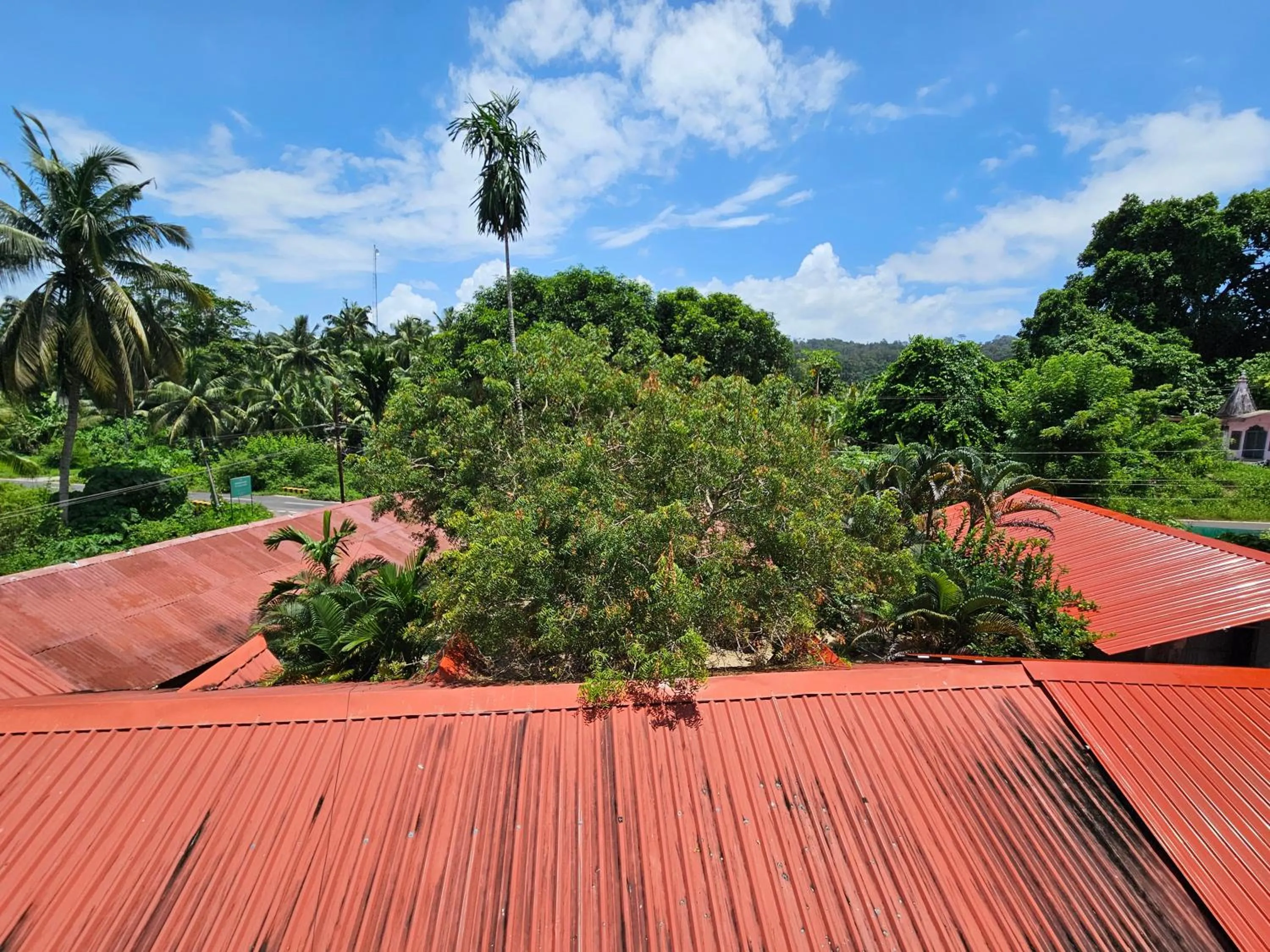 Havelock Harmony- Havelock Island