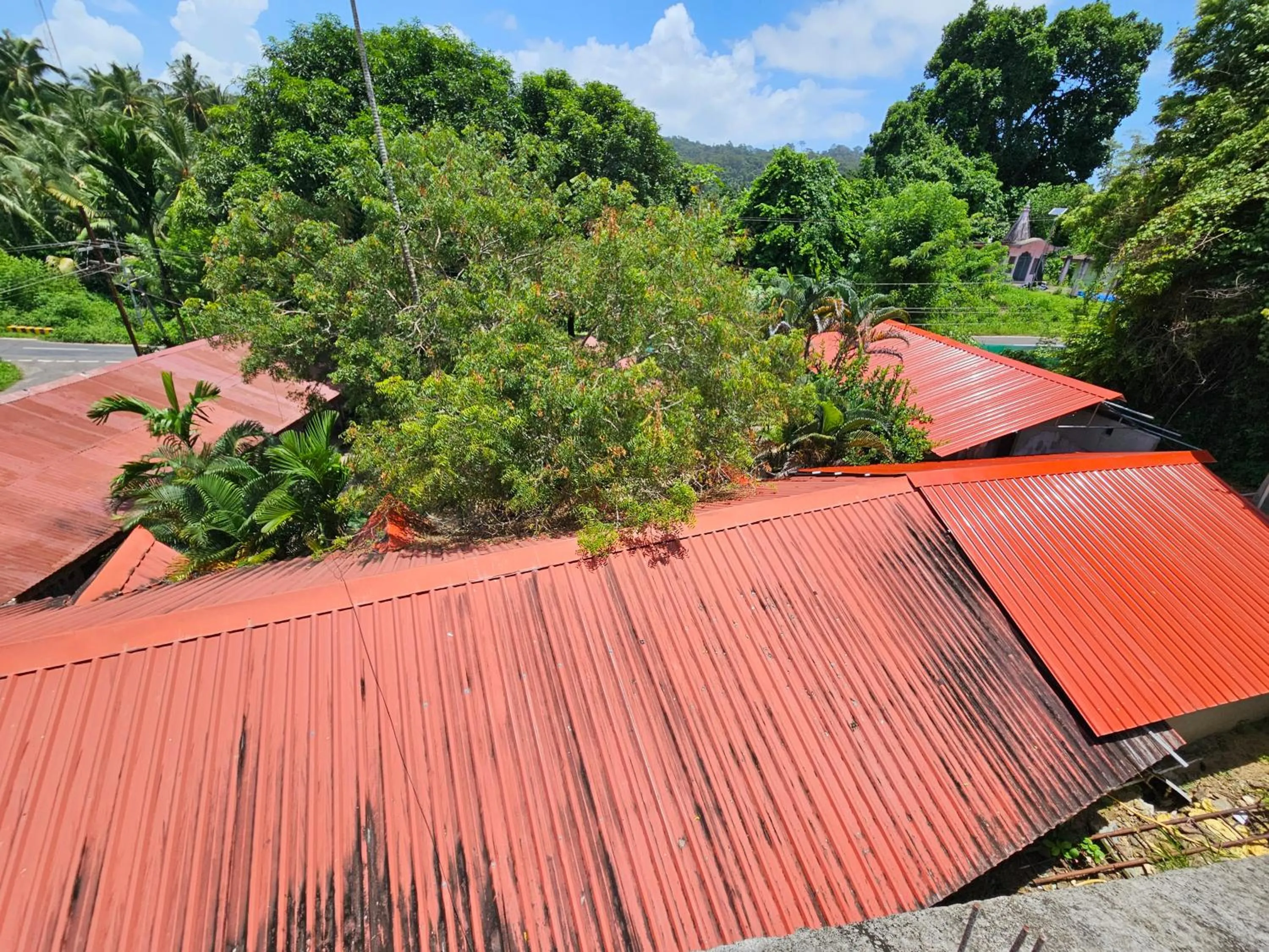 Havelock Harmony- Havelock Island