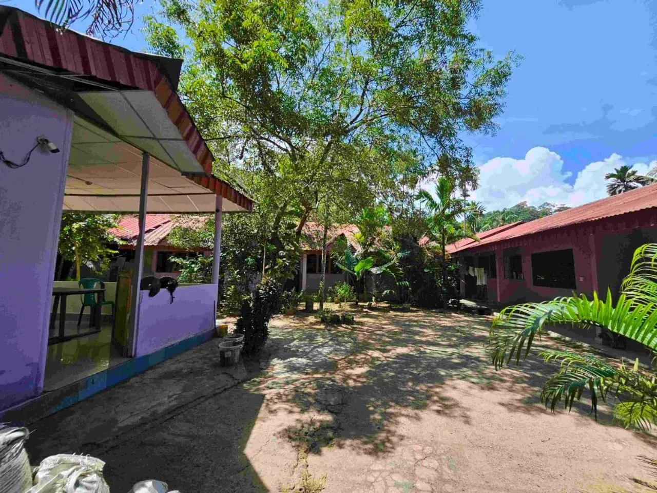 Havelock Harmony- Havelock Island