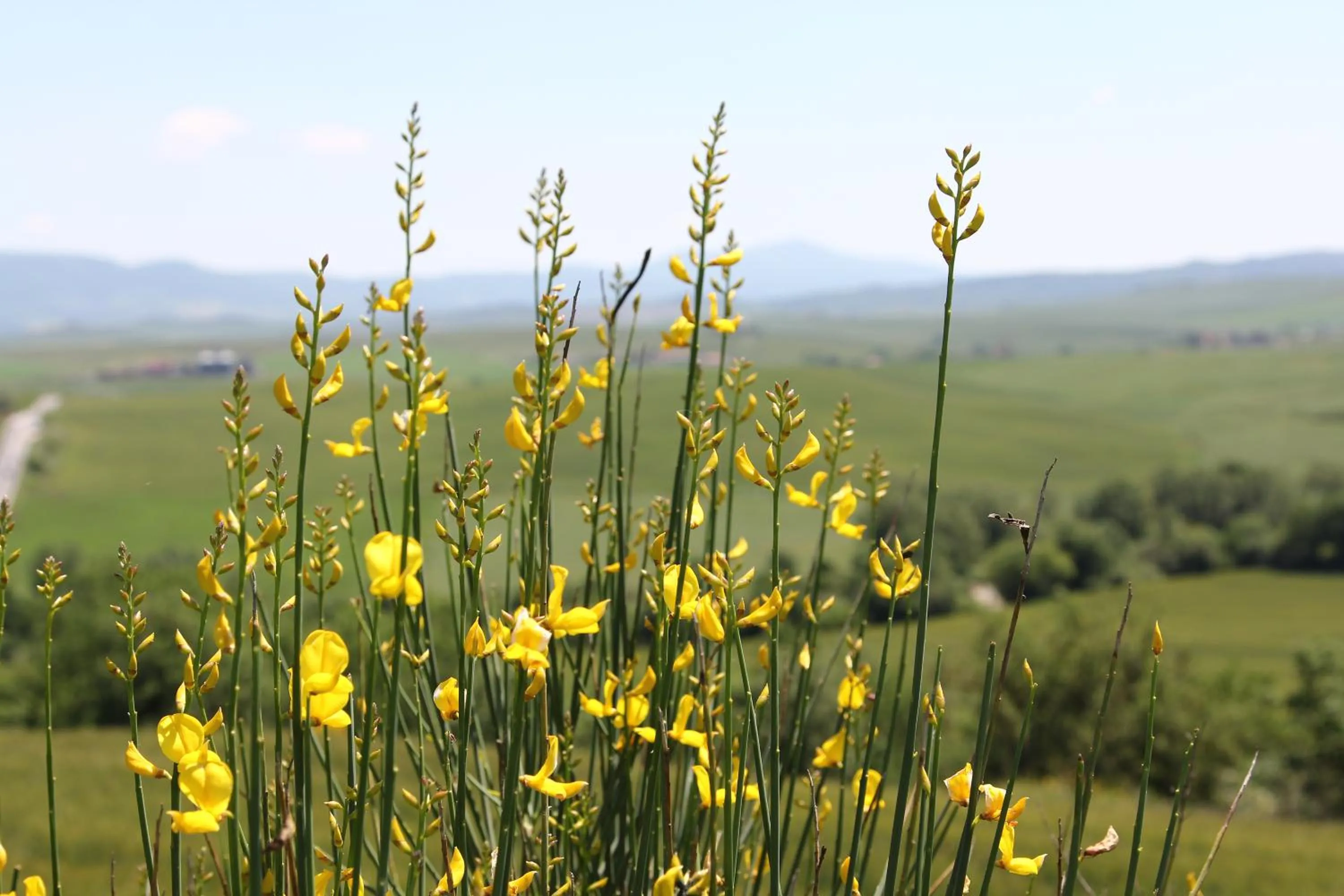 La Terrazza sulla Val d'Orcia