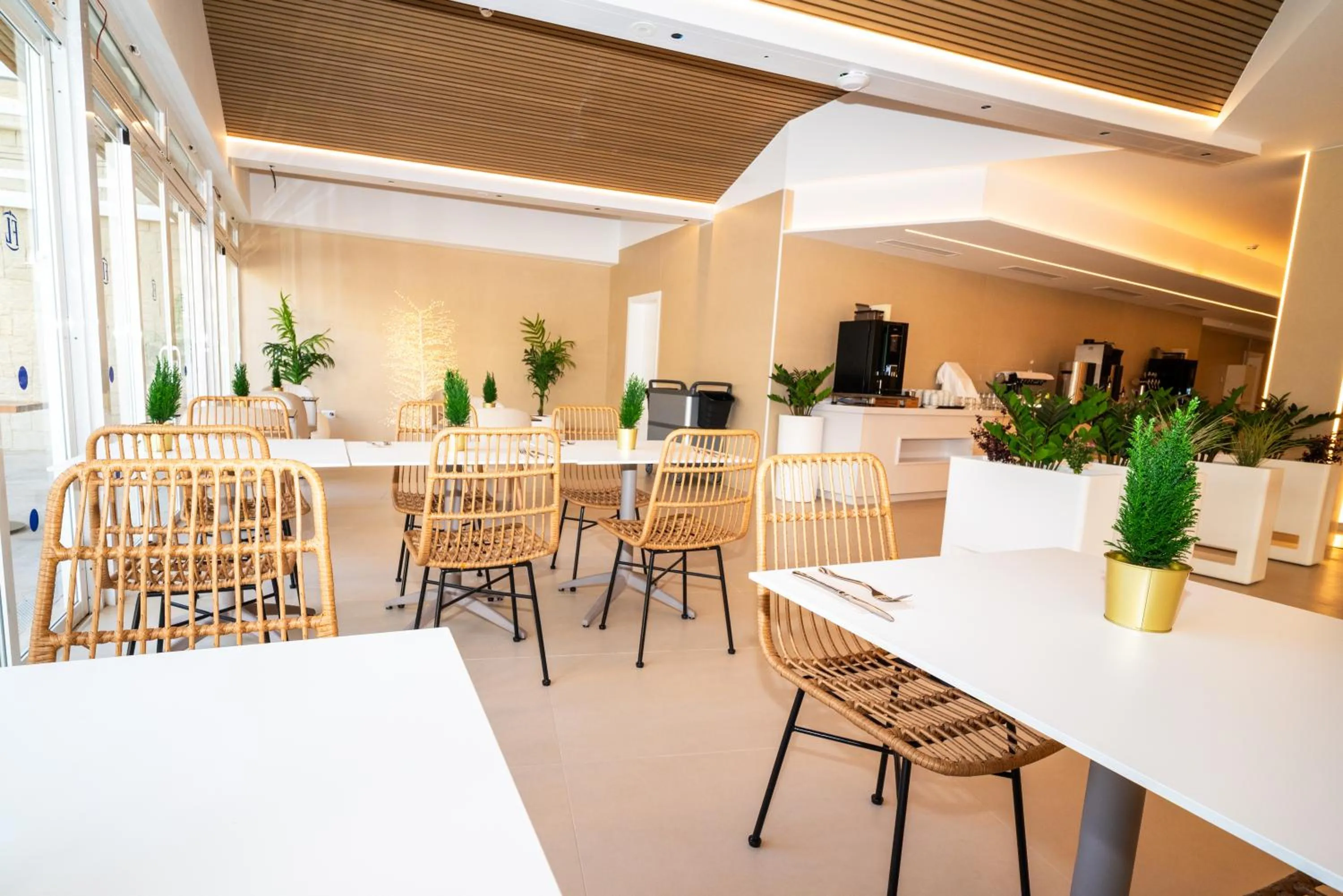 Restaurant/places to eat in Hotel Sahara Playa