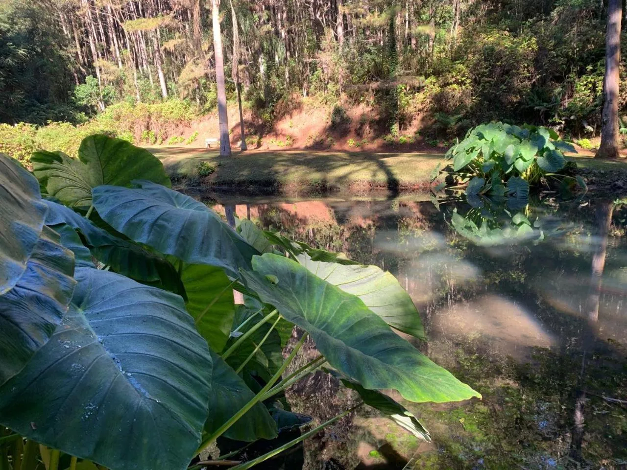 Natural landscape in Chalets do Vale