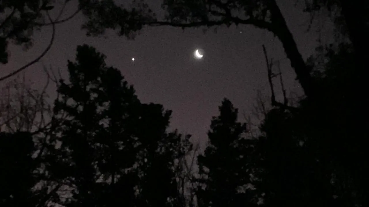 Natural landscape in Chalets do Vale