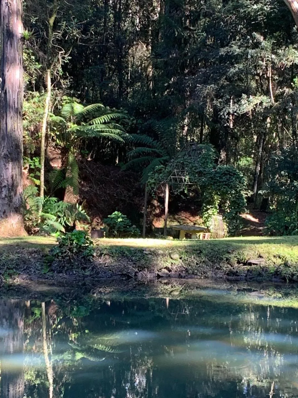 Natural landscape in Chalets do Vale