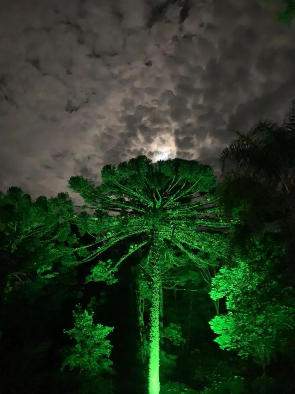 Natural landscape in Chalets do Vale
