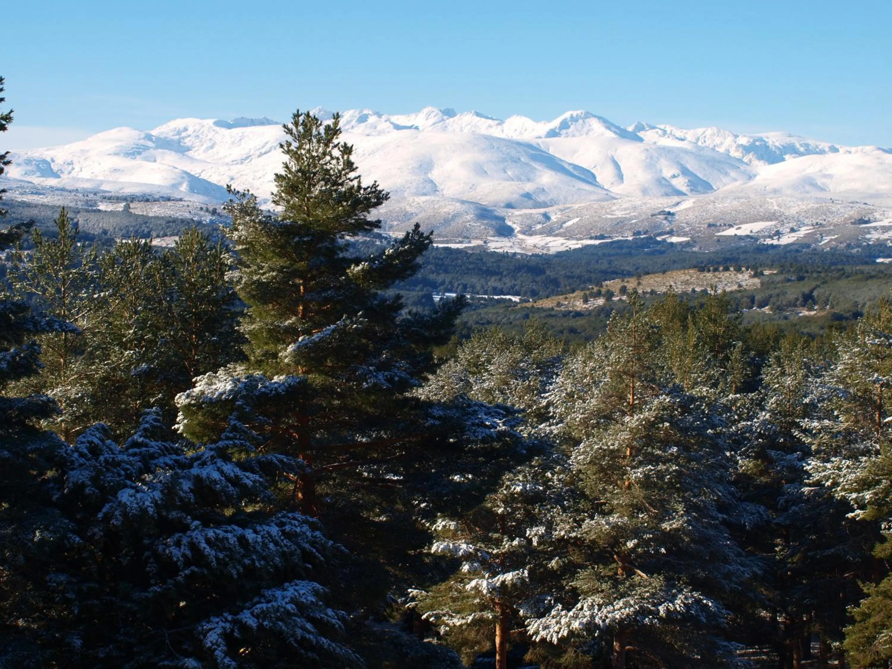View (from property/room) in Parador de Gredos