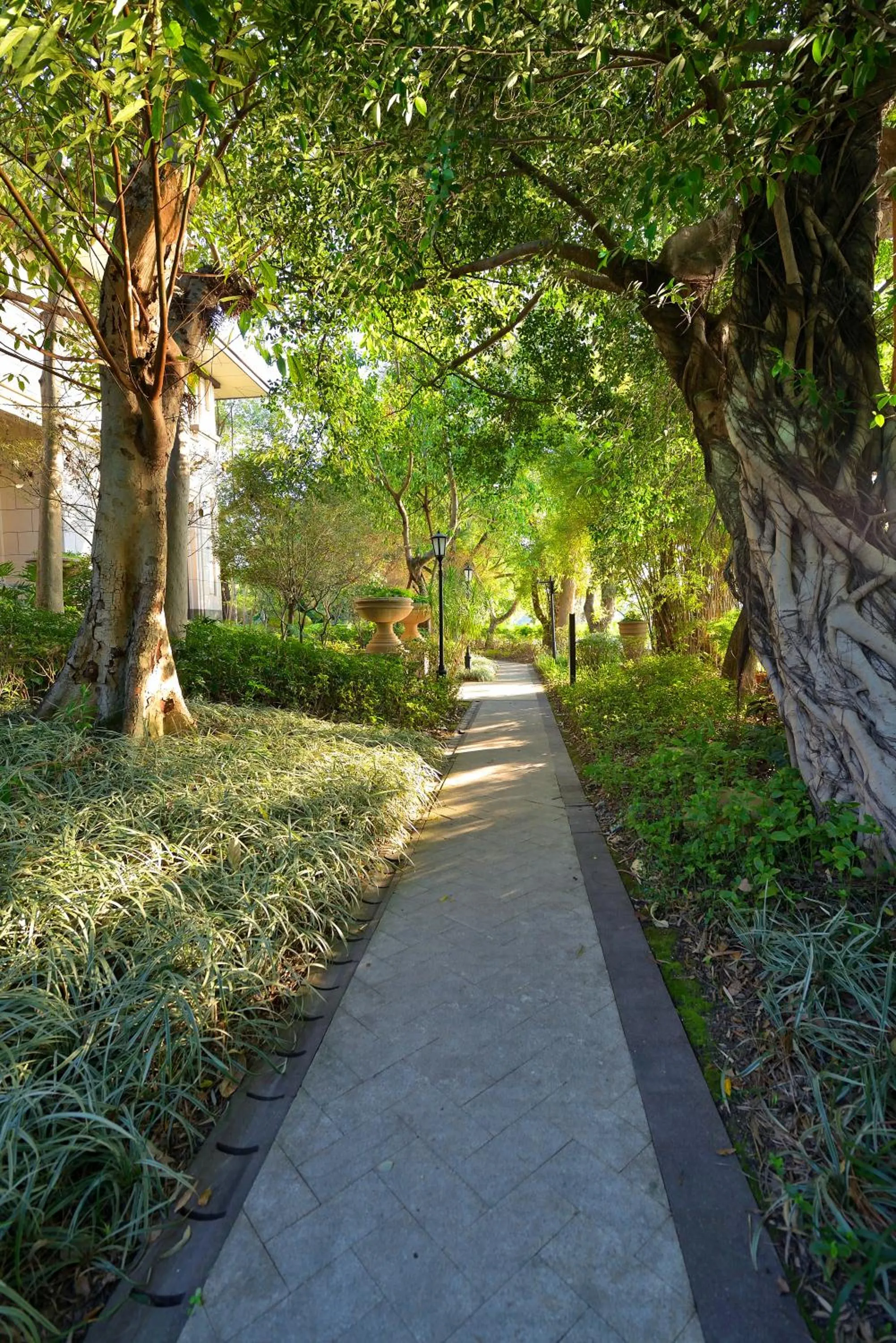 Garden in C&D Hotel Fuzhou