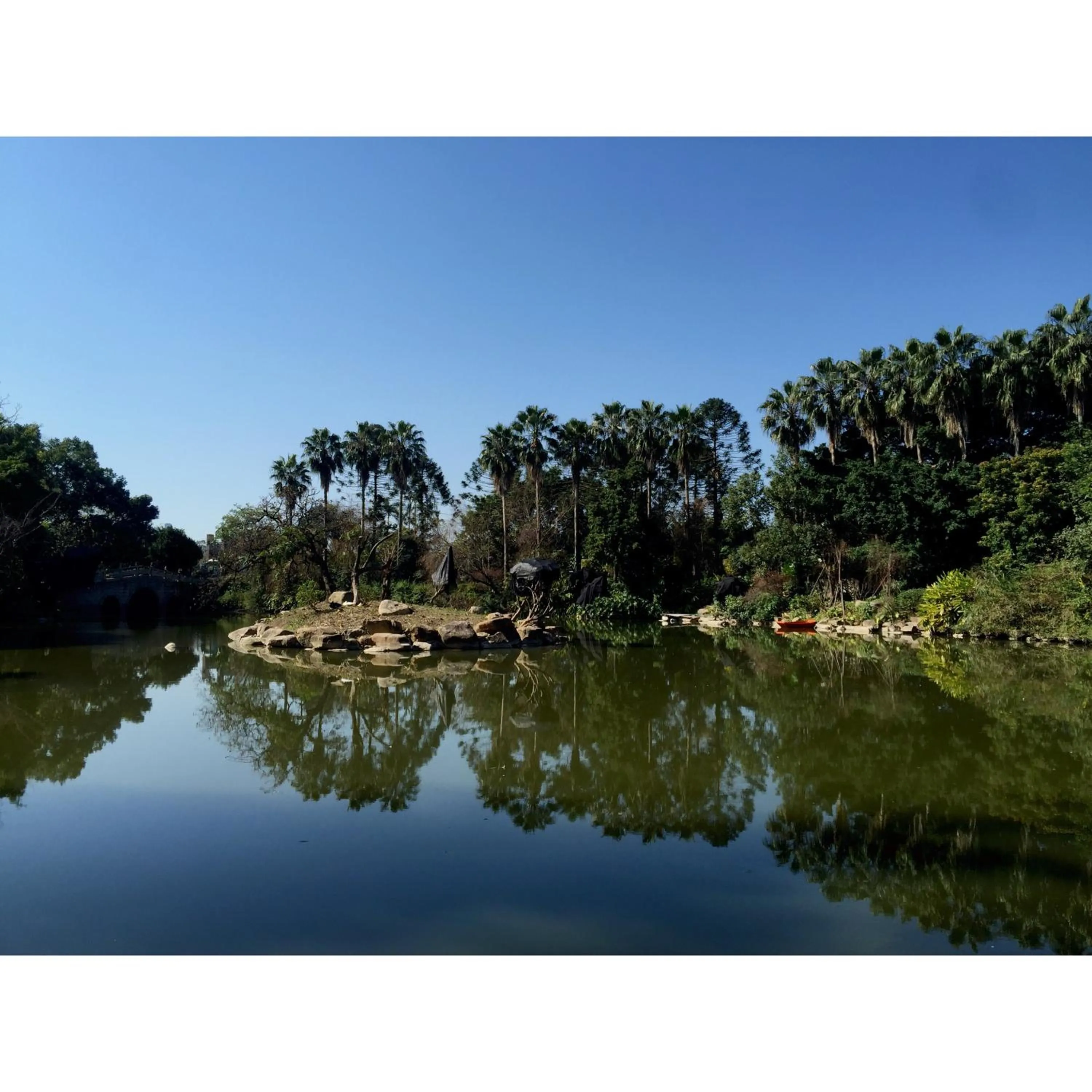 Garden in C&D Hotel Fuzhou