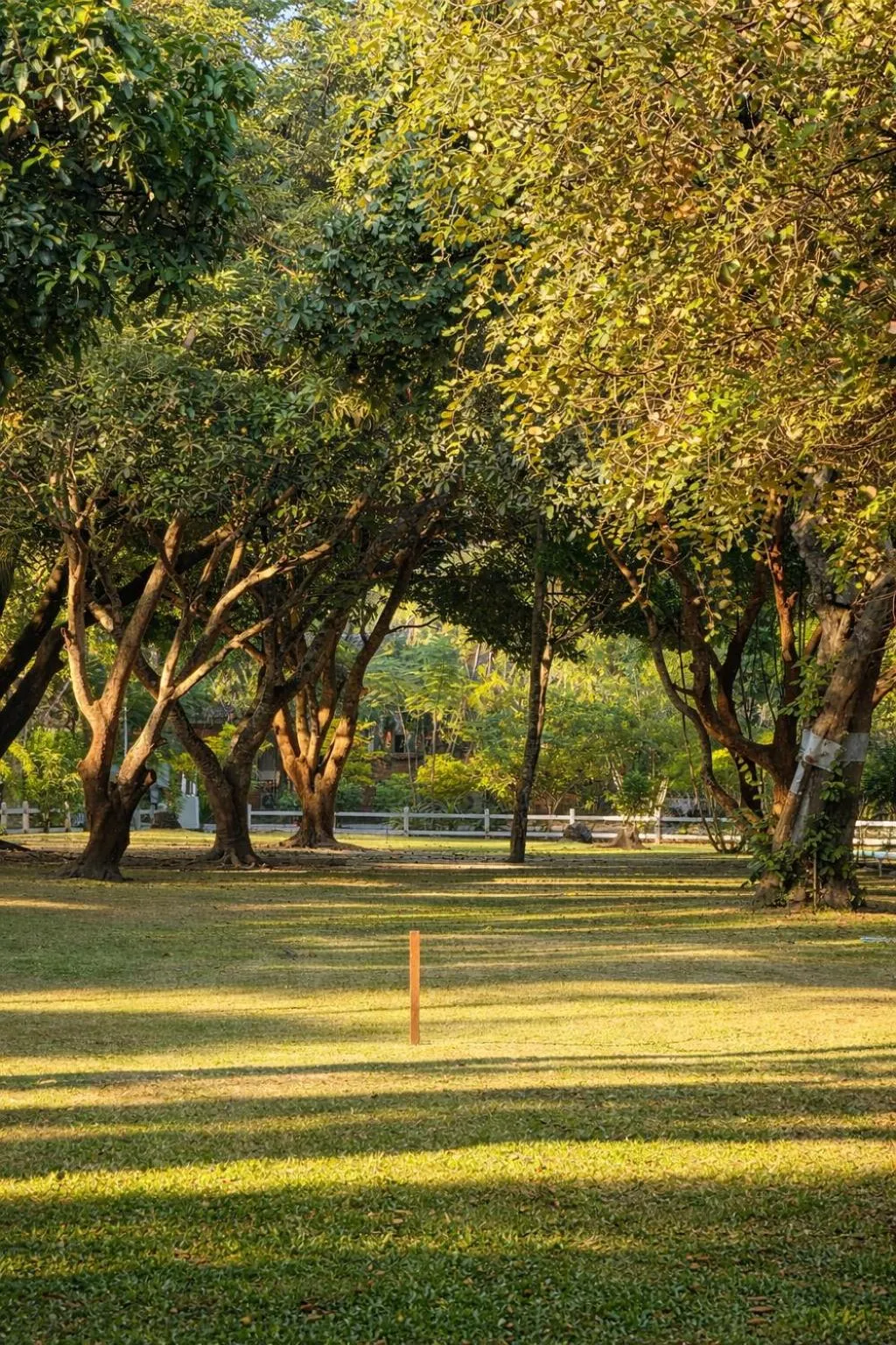 Natural landscape in Fisherman Way Beach Villa