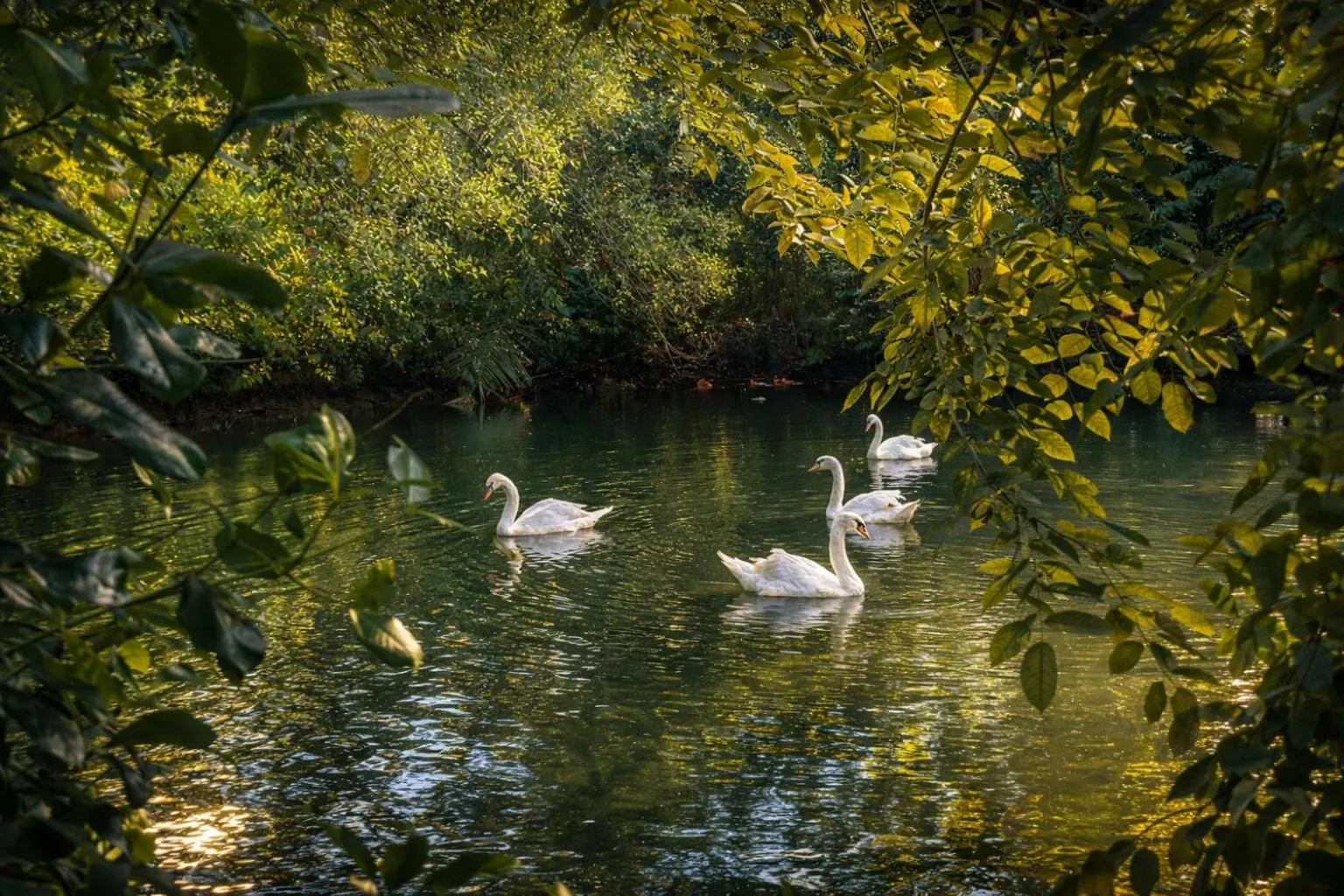 Natural landscape in Fisherman Way Beach Villa