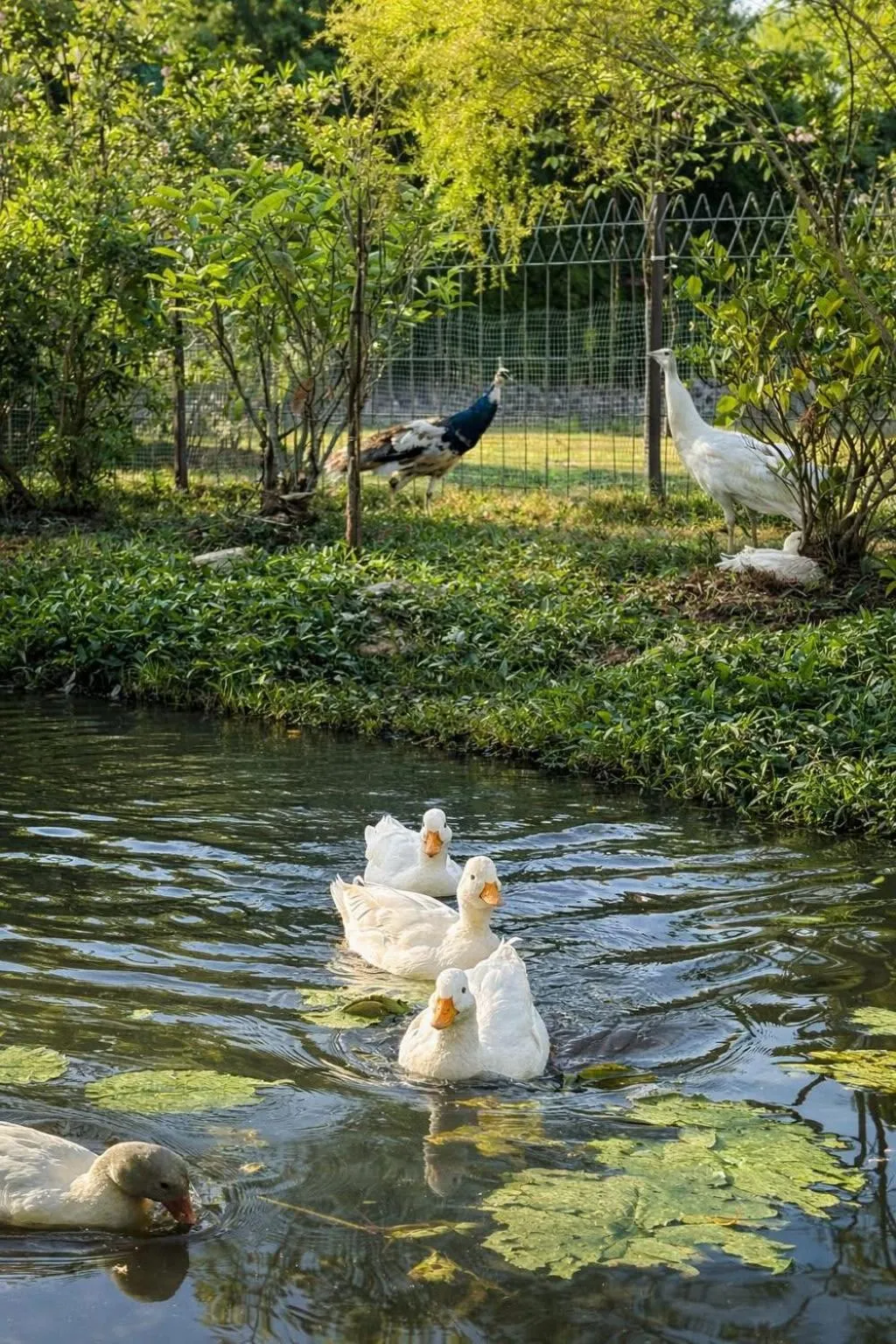 Natural landscape in Fisherman Way Beach Villa
