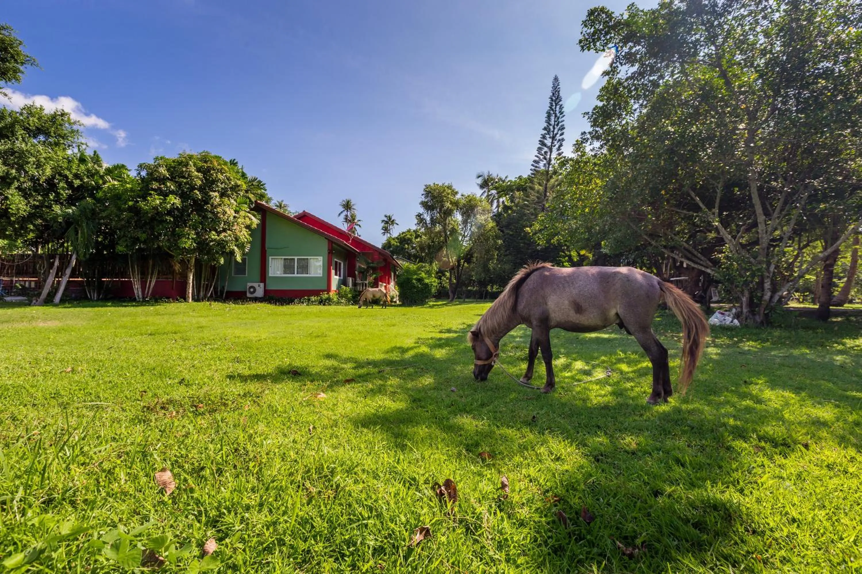 Property building in Fisherman Way Beach Villa