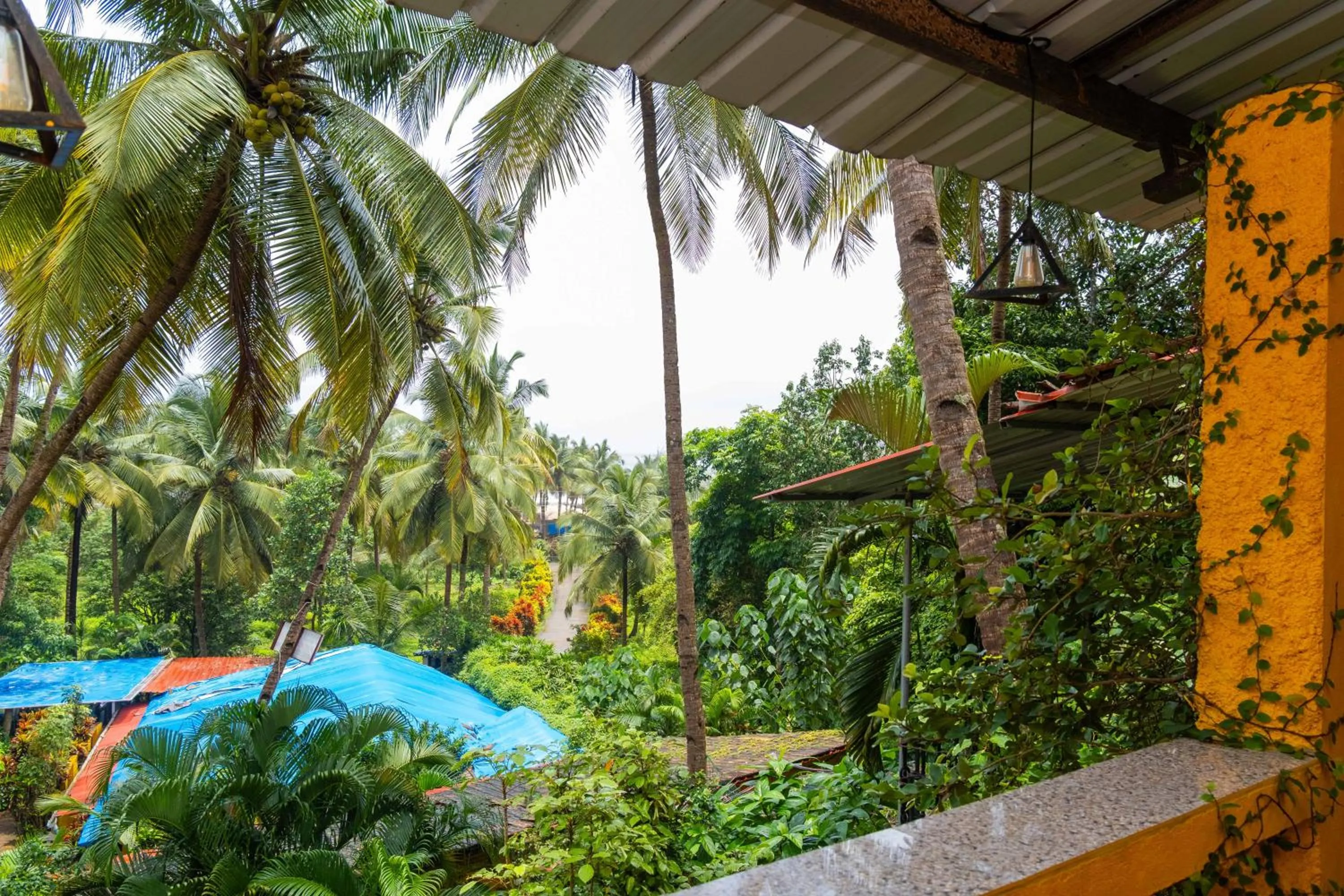 Palm Beach Lifestyle Resort Managed By Anusaksh