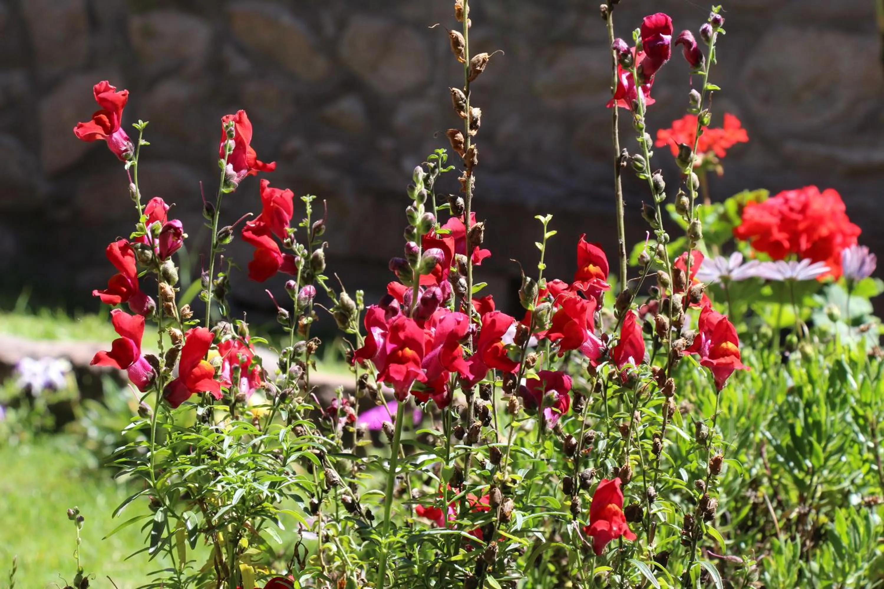 Property building in Hospedaje La Florida