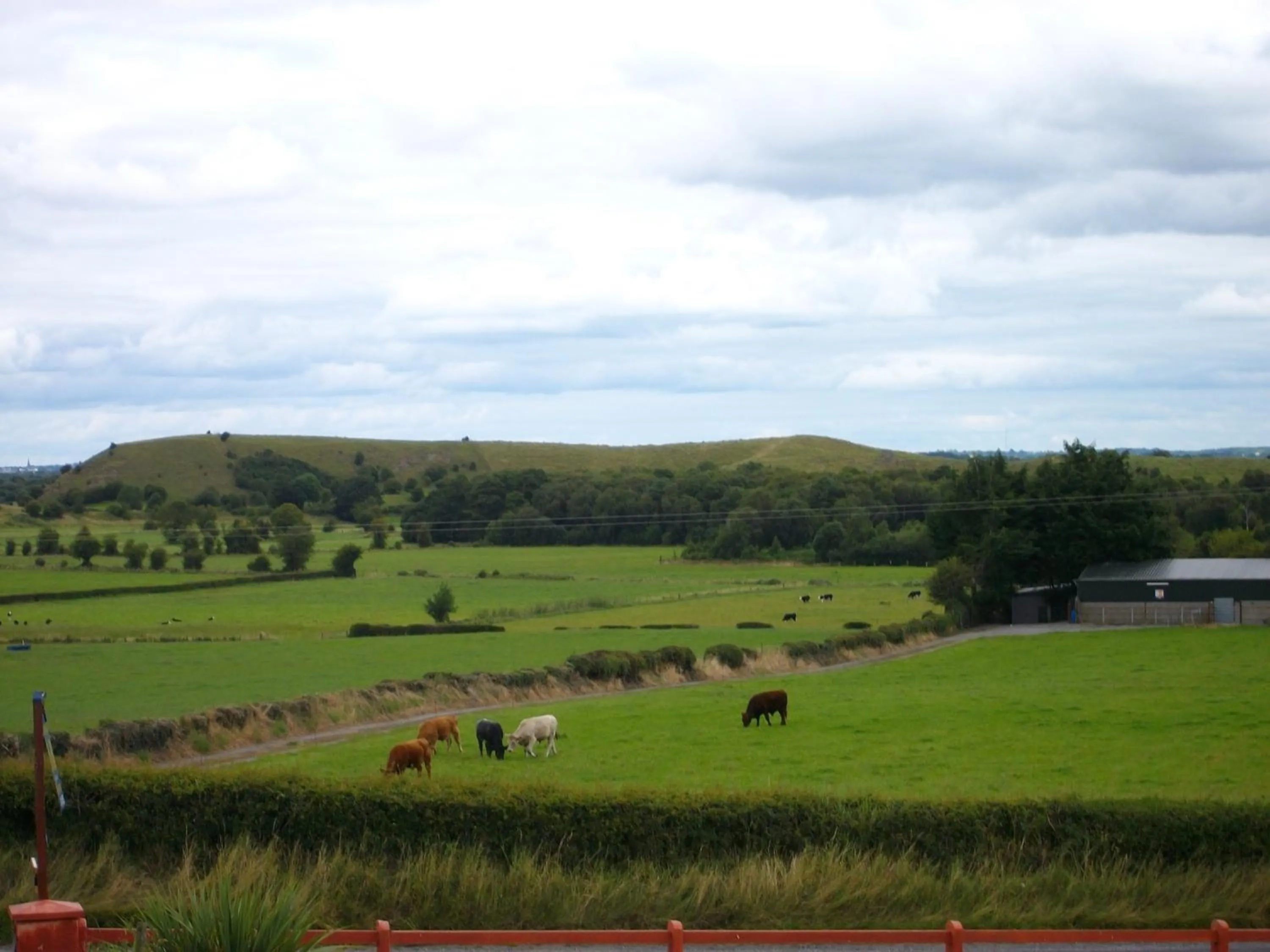 Natural landscape in Clonmacnoise B&B
