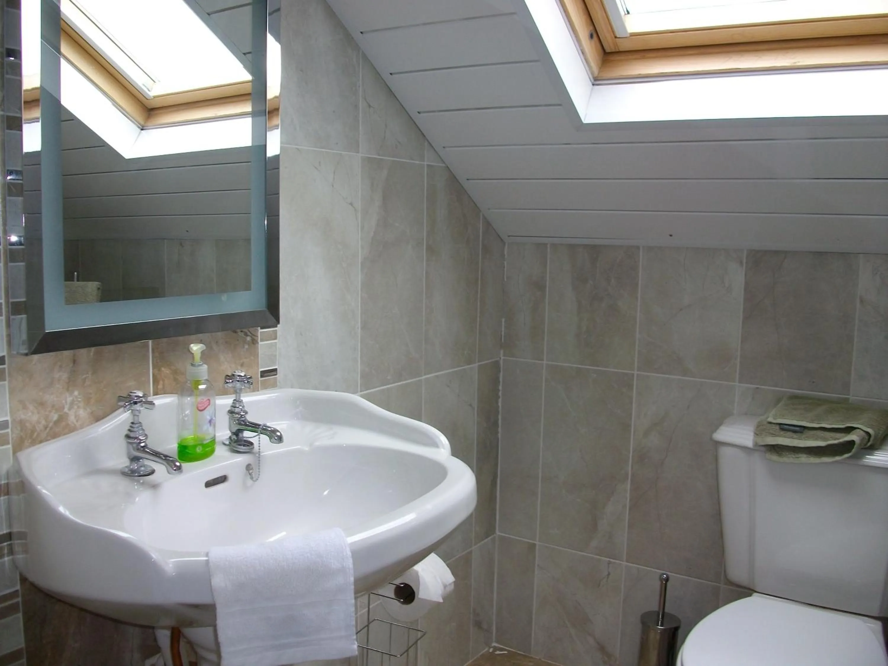 Bathroom in Clonmacnoise B&B