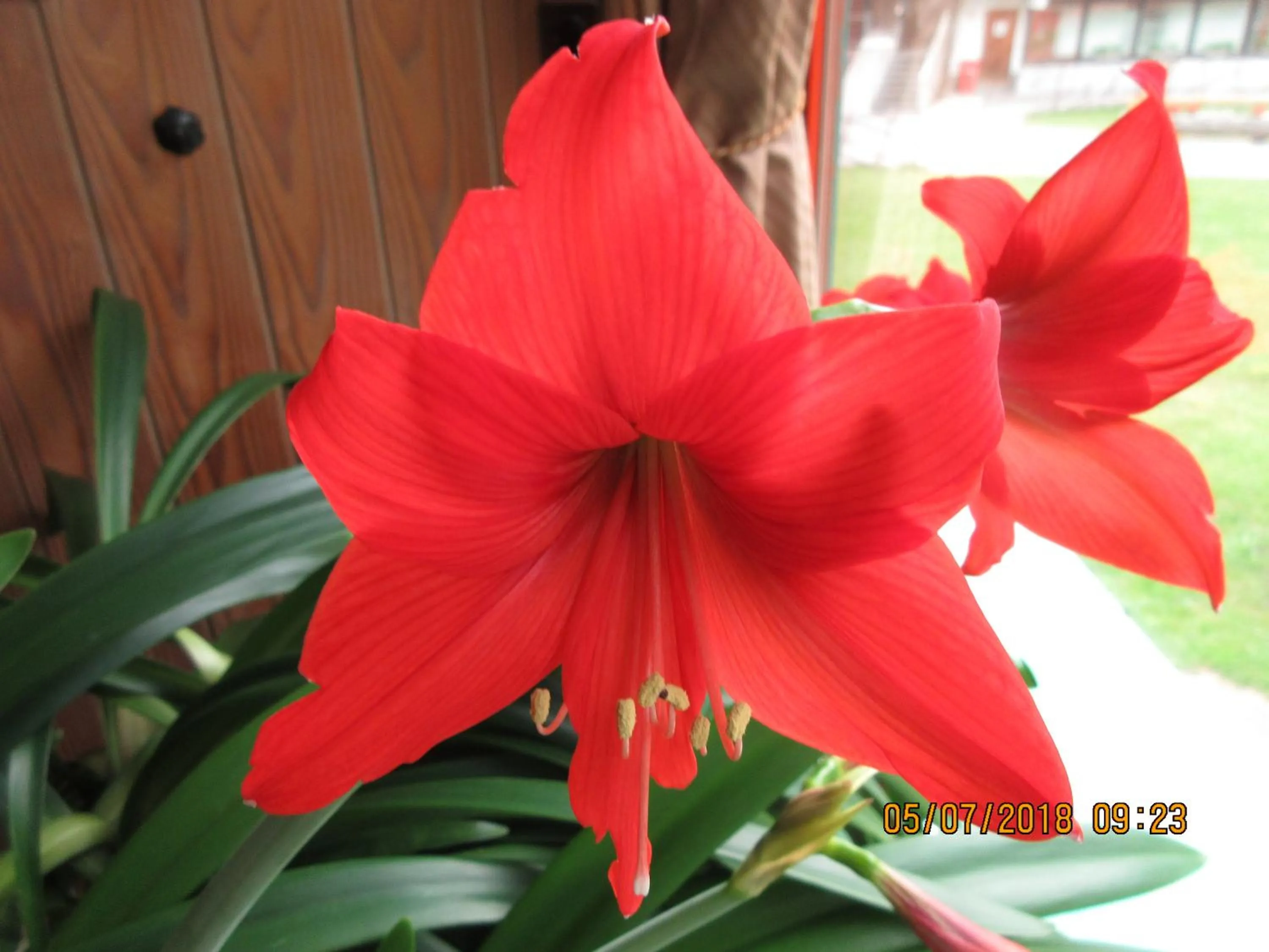 Restaurant/places to eat in Aparthotel Edy Bruggmann AG