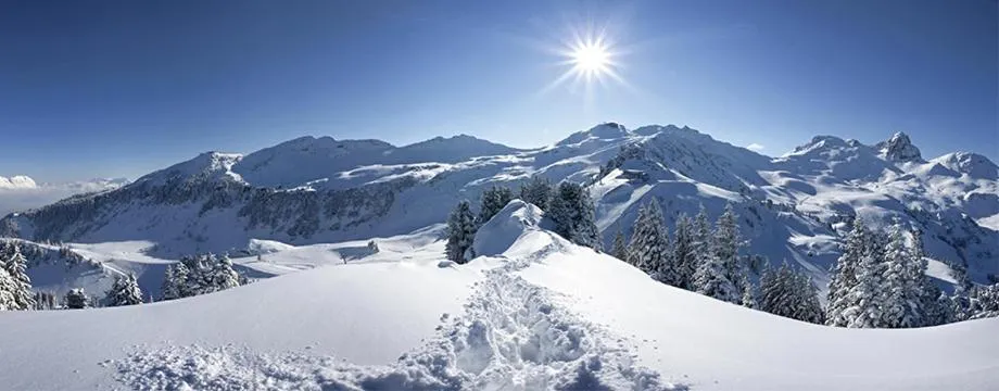 Natural landscape in Aparthotel Edy Bruggmann AG