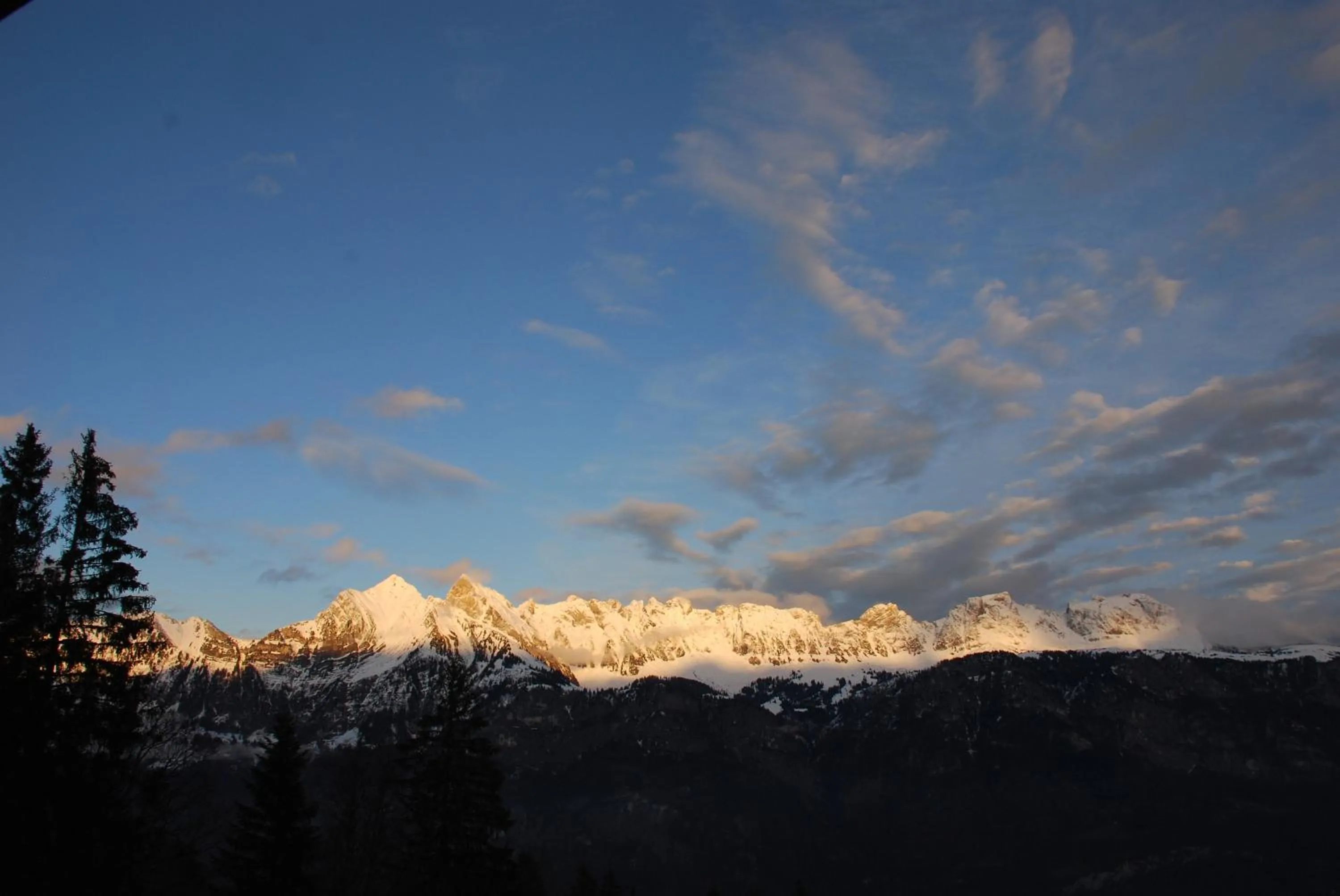 Winter in Aparthotel Edy Bruggmann AG