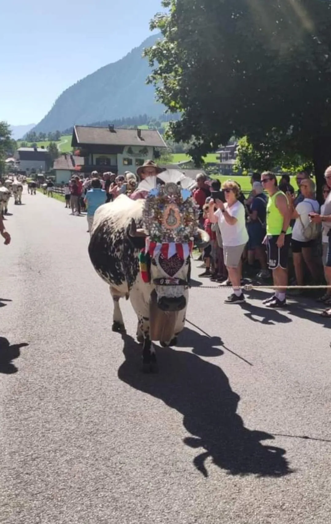 Natural landscape in Aparthotel Edy Bruggmann AG