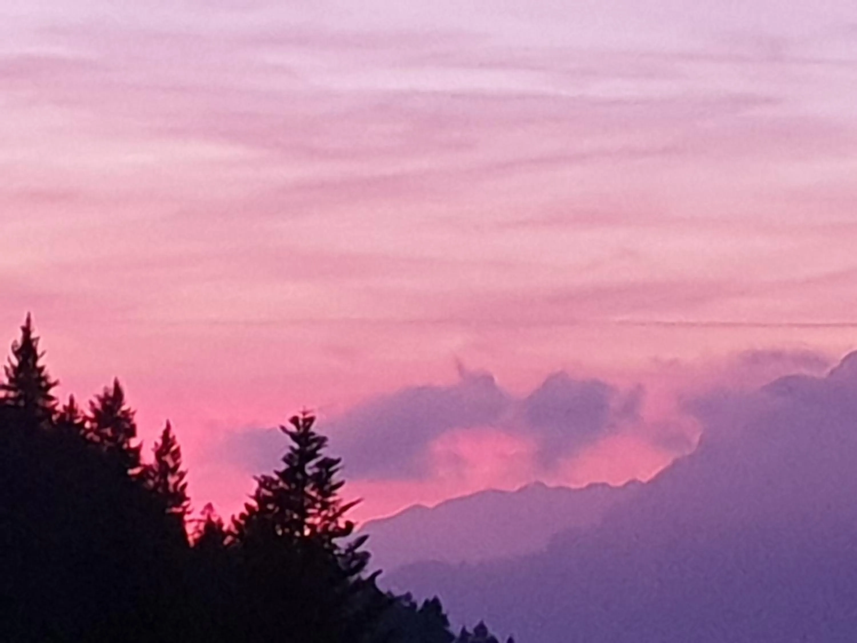 Mountain view in Aparthotel Edy Bruggmann AG