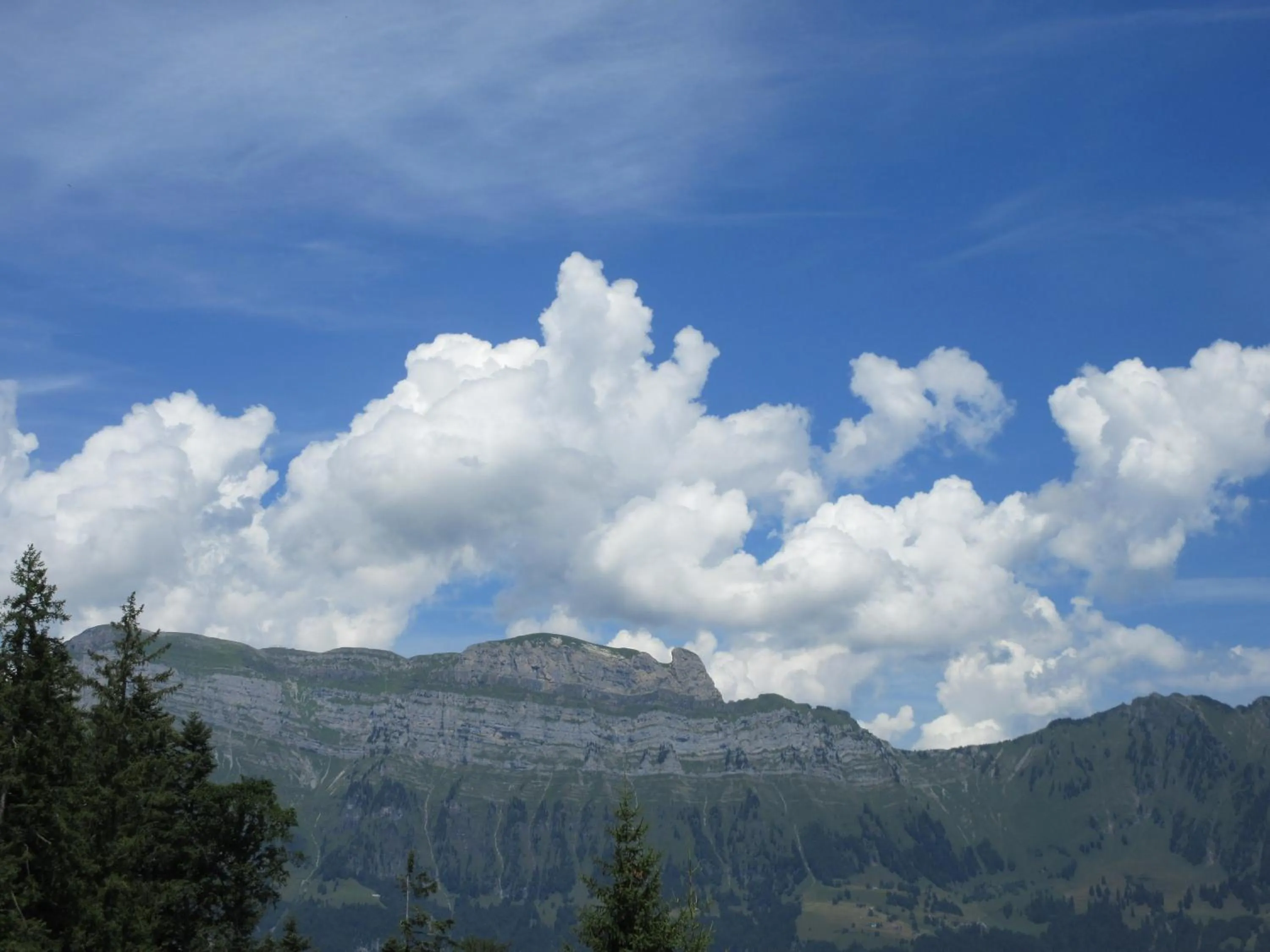 Natural landscape in Aparthotel Edy Bruggmann AG