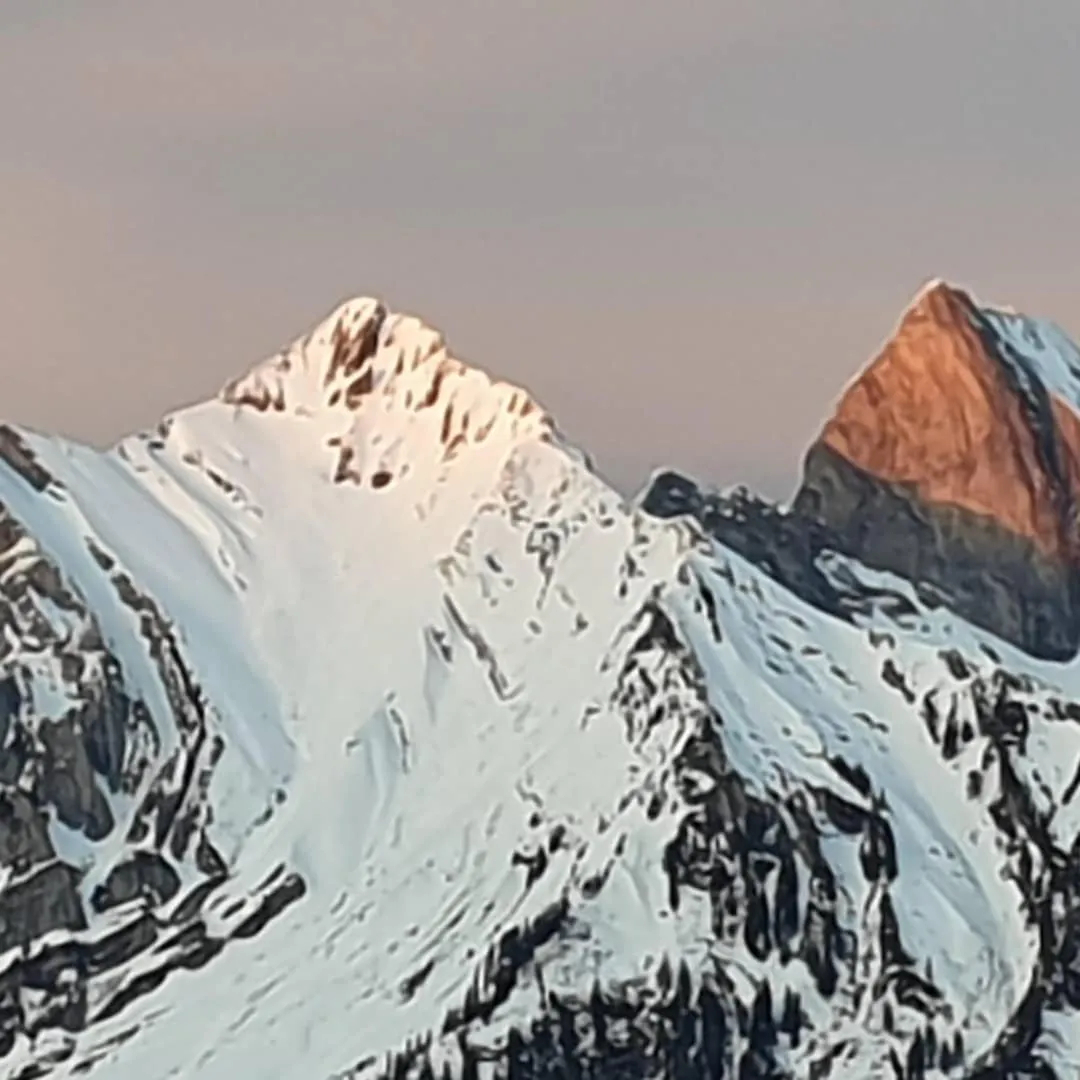 Natural landscape in Aparthotel Edy Bruggmann AG