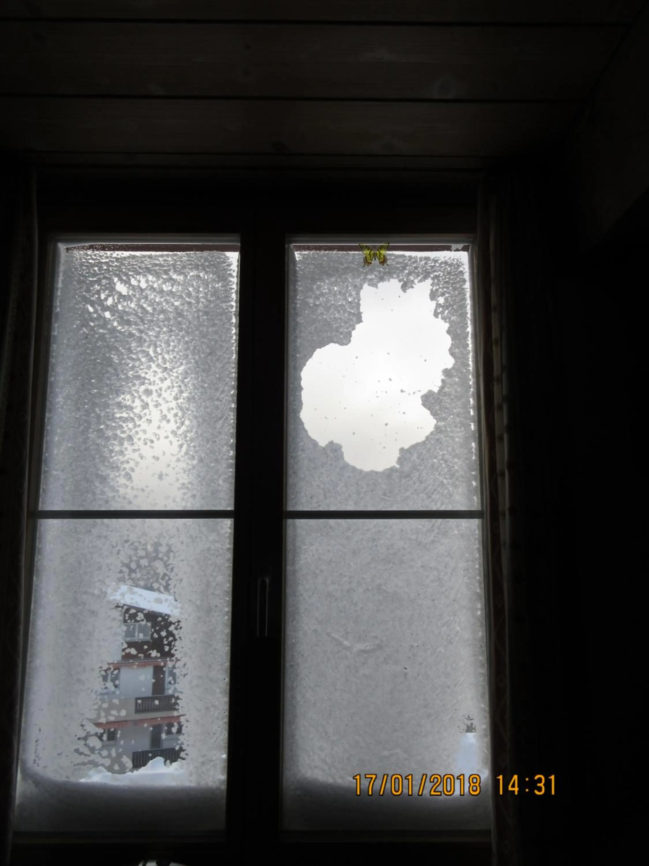 Restaurant/places to eat in Aparthotel Edy Bruggmann AG