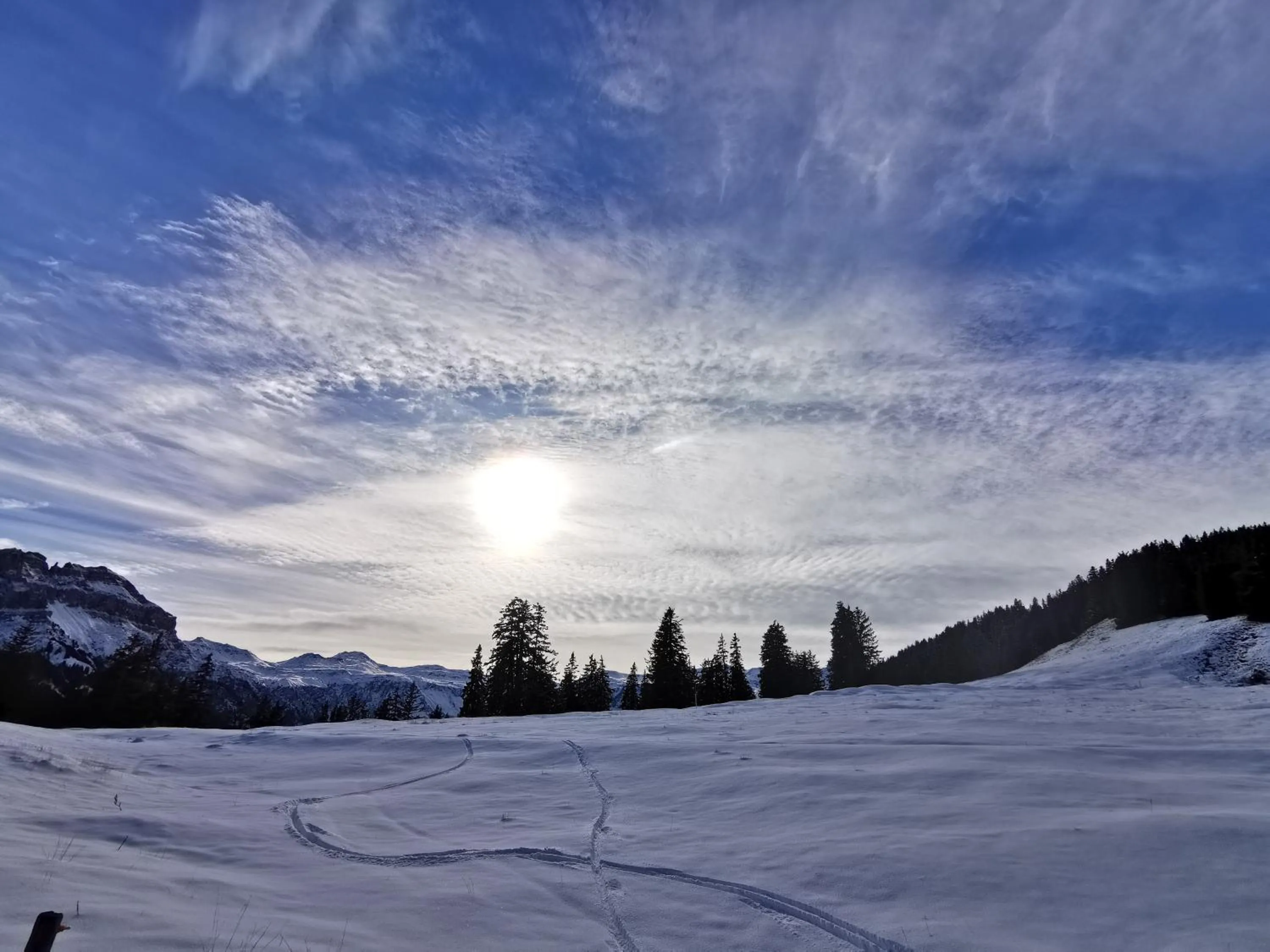 Natural landscape in Aparthotel Edy Bruggmann AG