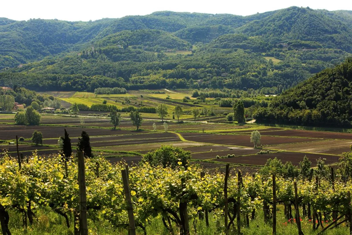 Spring in Fattoria Le Vegre