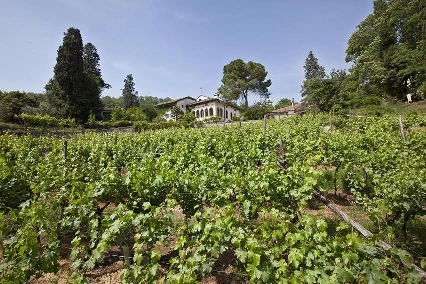 Fattoria Le Vegre