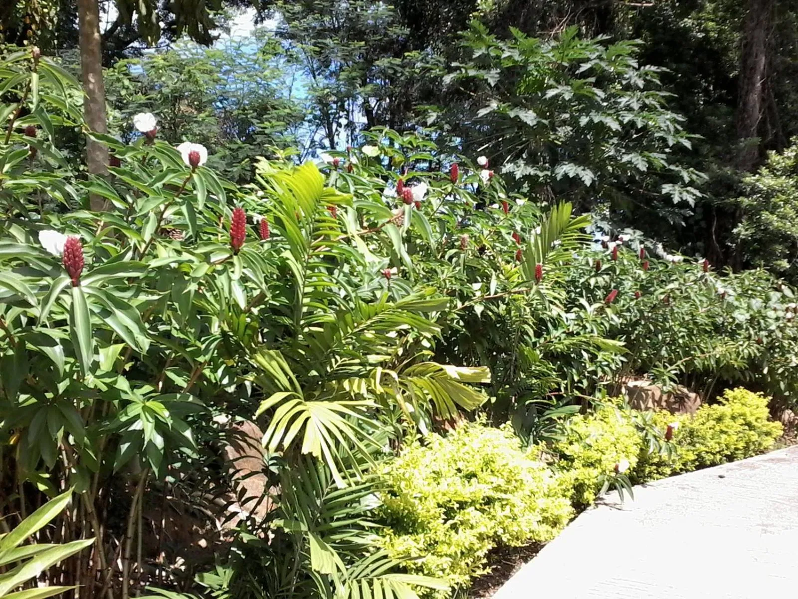 Day in Precious Residence C